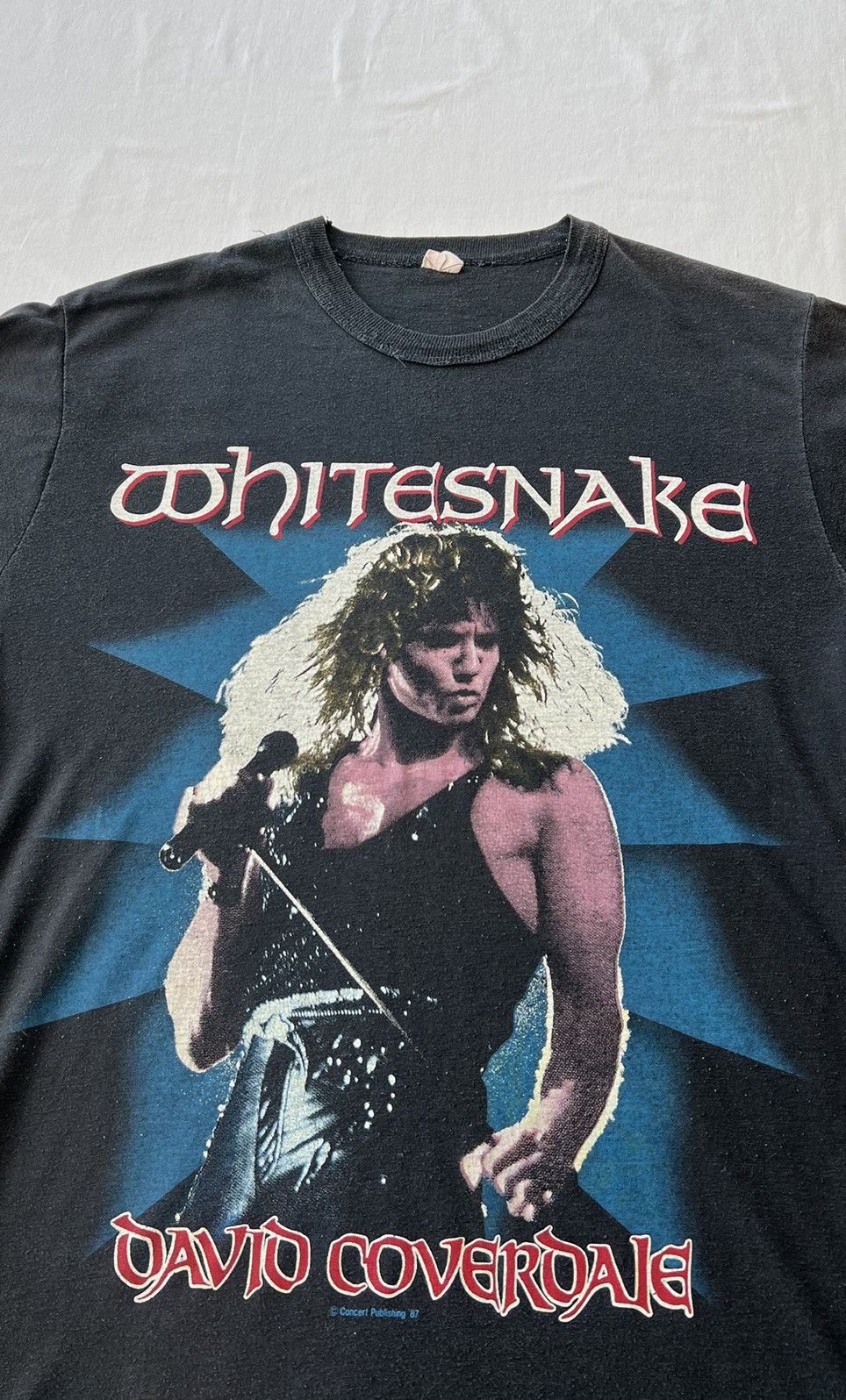 Band Tees Vintage 1987 Whitesnake David Coverdale Black Tee Size US M / EU 48-50 / 2 - 3 Thumbnail
