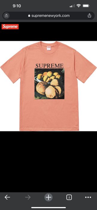 Supreme still life tee terra cotta sales