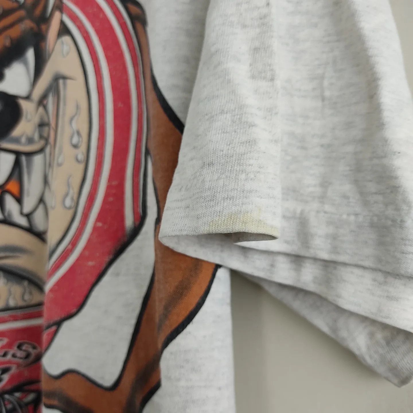 NBA × Vintage × Warner Bros 1994 Chicago Bulls Taz Looney Tunes NBA Size US L / EU 52-54 / 3 - 2 Thumbnail