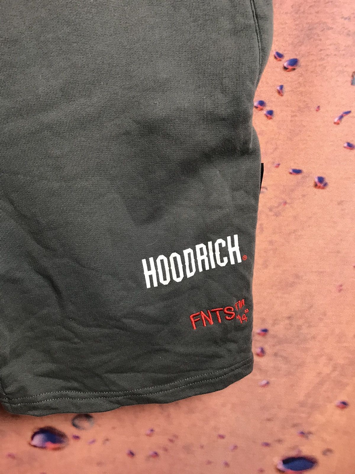 Hoodrich × Trapstar London Hoodrich streetwear shorts Size US 32 / EU 48 - 2 Thumbnail