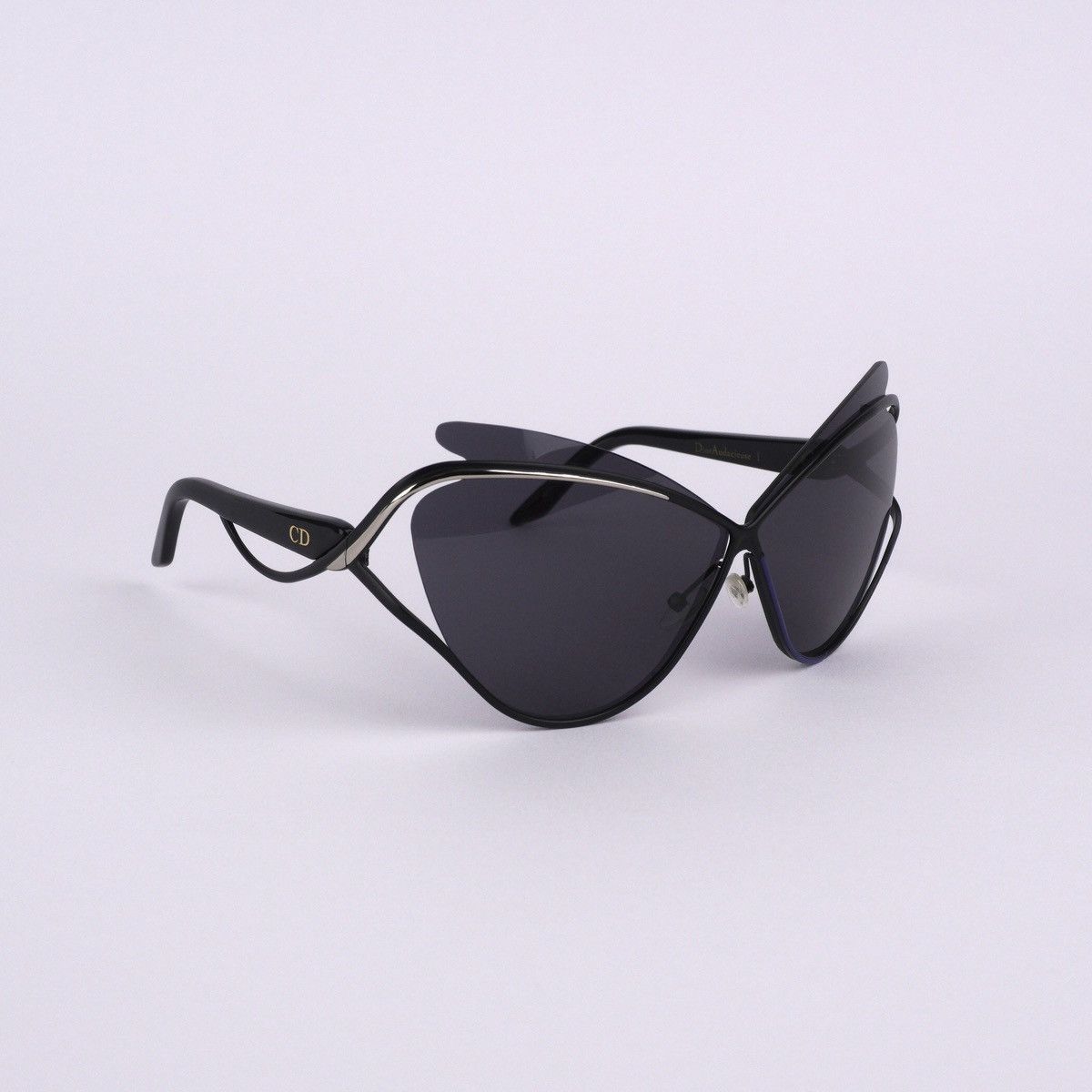 dior audacieuse 1
