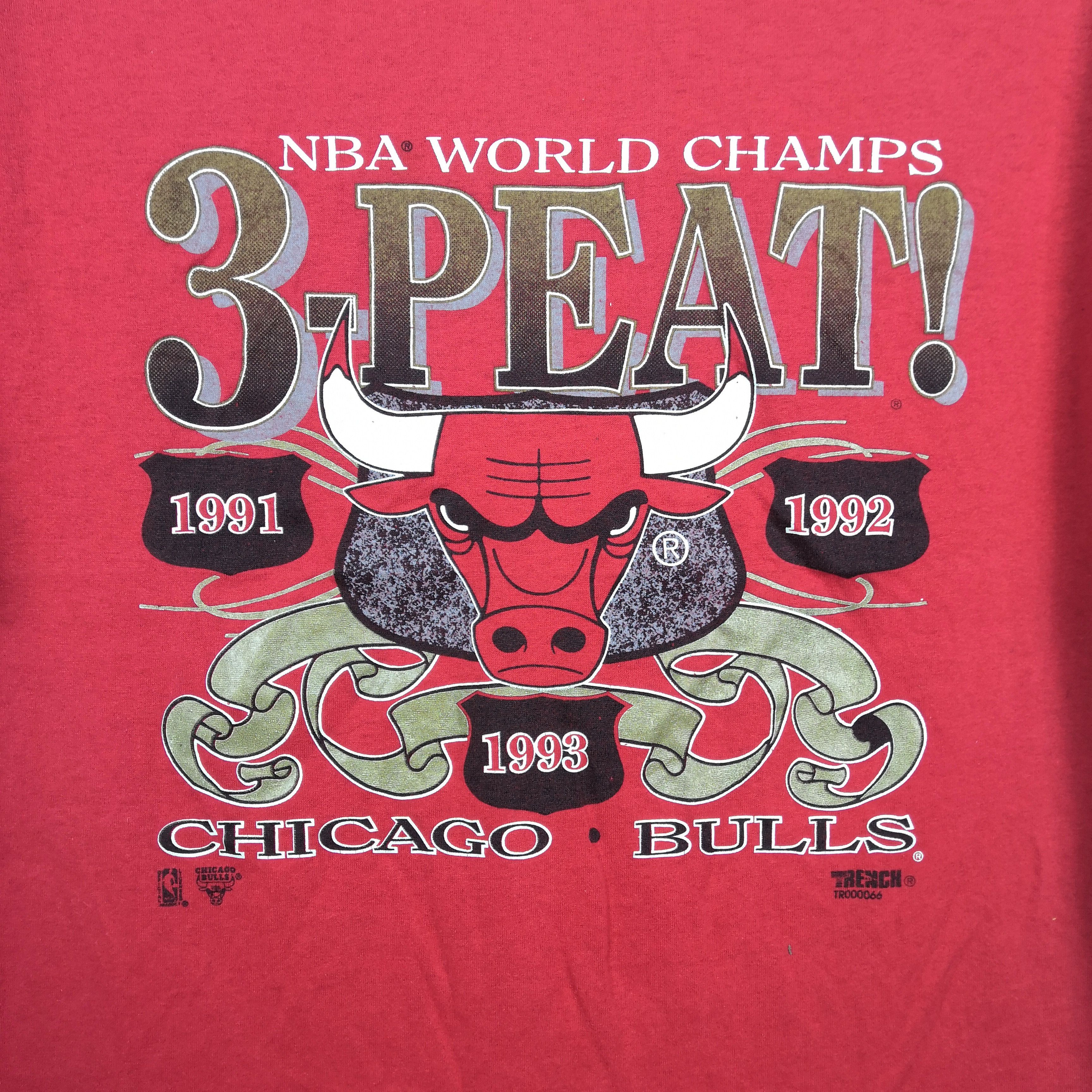 NBA Vintage Chicago Bull T Shirt NBA World Champs Tee Size US L / EU 52-54 / 3 - 4 Thumbnail