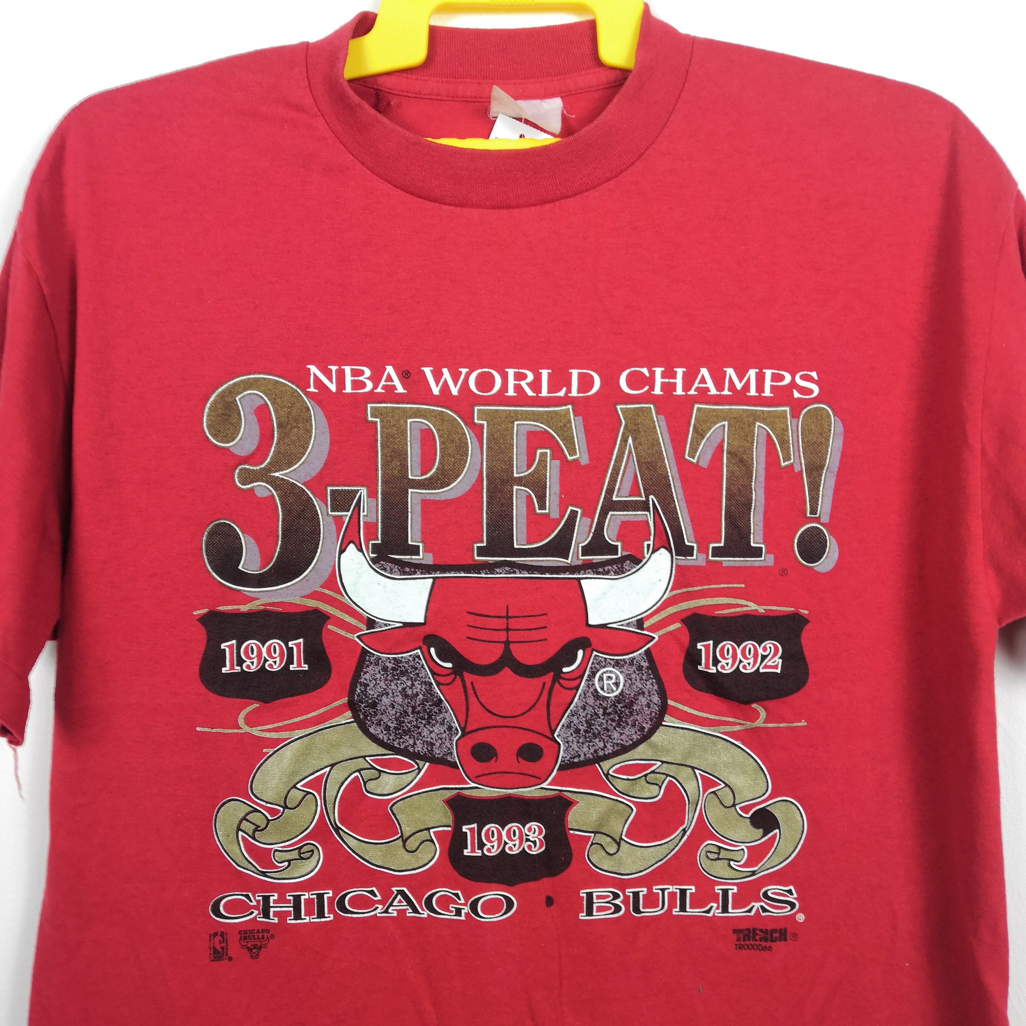 NBA Vintage Chicago Bull T Shirt NBA World Champs Tee Size US L / EU 52-54 / 3 - 3 Thumbnail