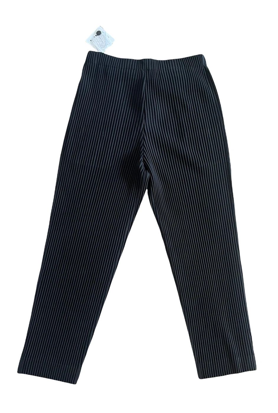 Issey Miyake ISSEY MIYAKE HOMME PLISSÉ 2022 SS Straight Pants Size US 30 / EU 46 - 2 Thumbnail