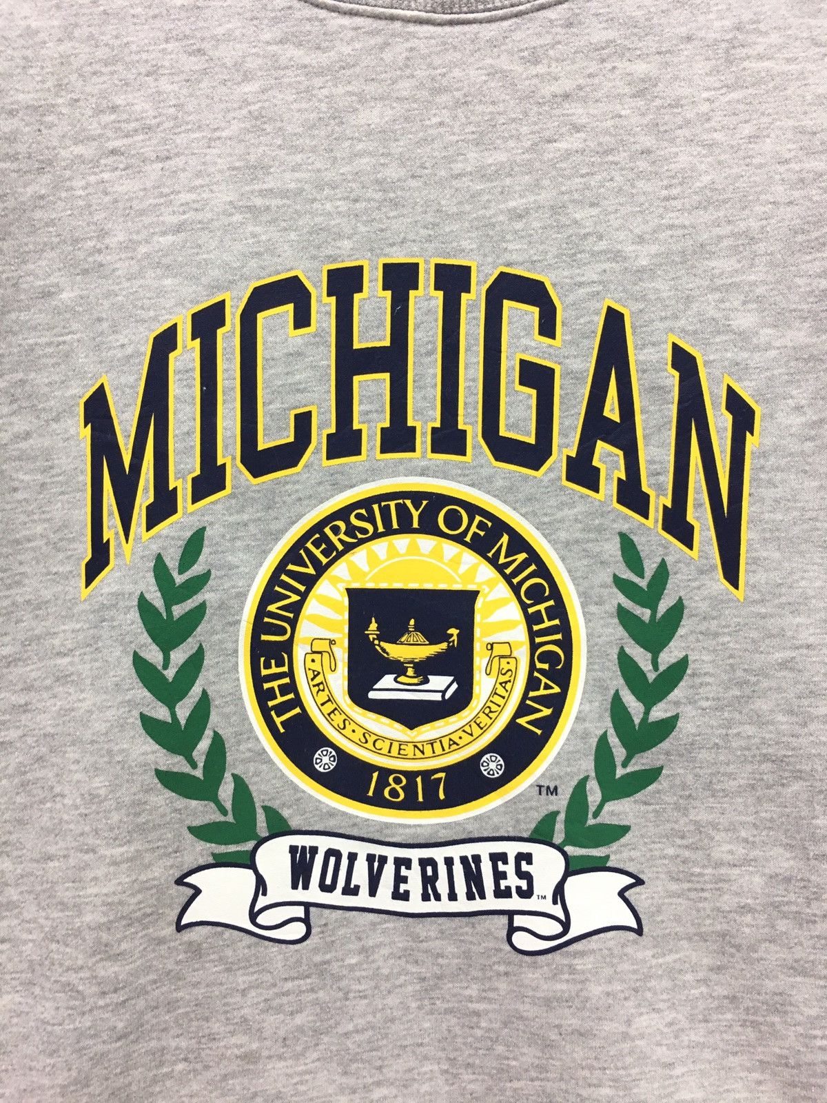 Other Vintage University Of Michigan Sweatshirt Size US S / EU 44-46 / 1 - 3 Thumbnail