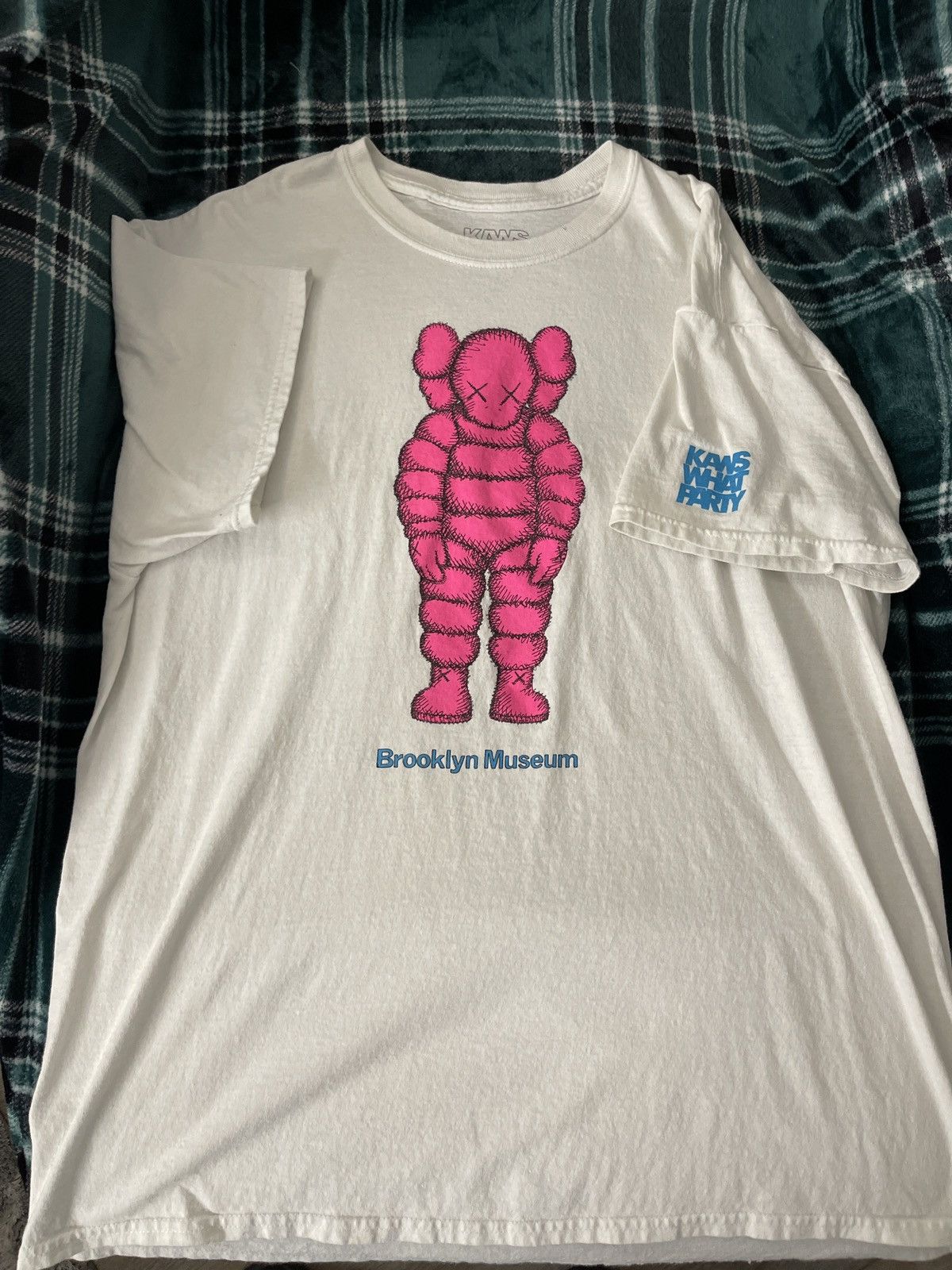 Kaws What Party | Grailed
