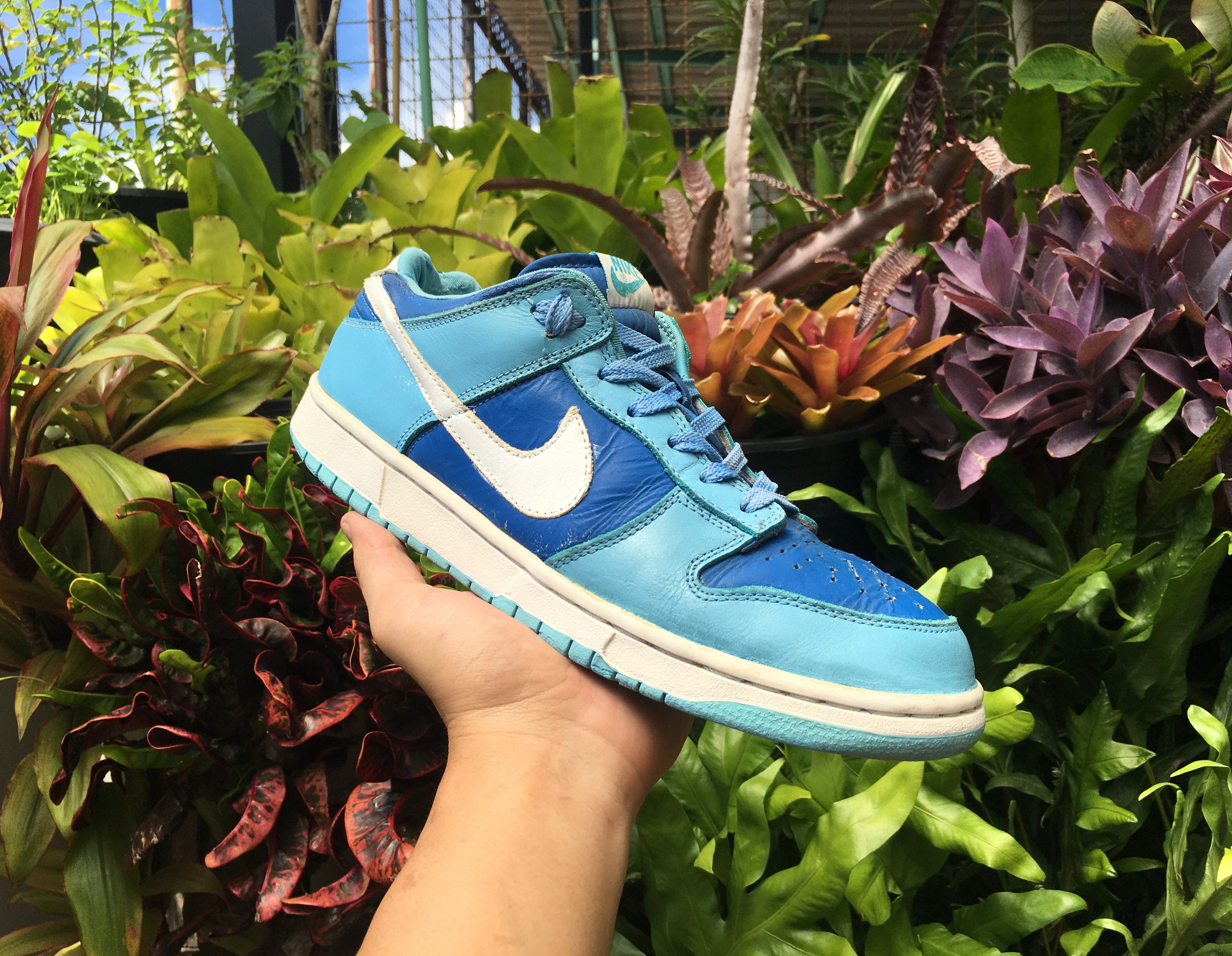image of Nike Dunk Low Argon 2001 Shoes in Flash/White/Argon Blue, Men's (Size 10)