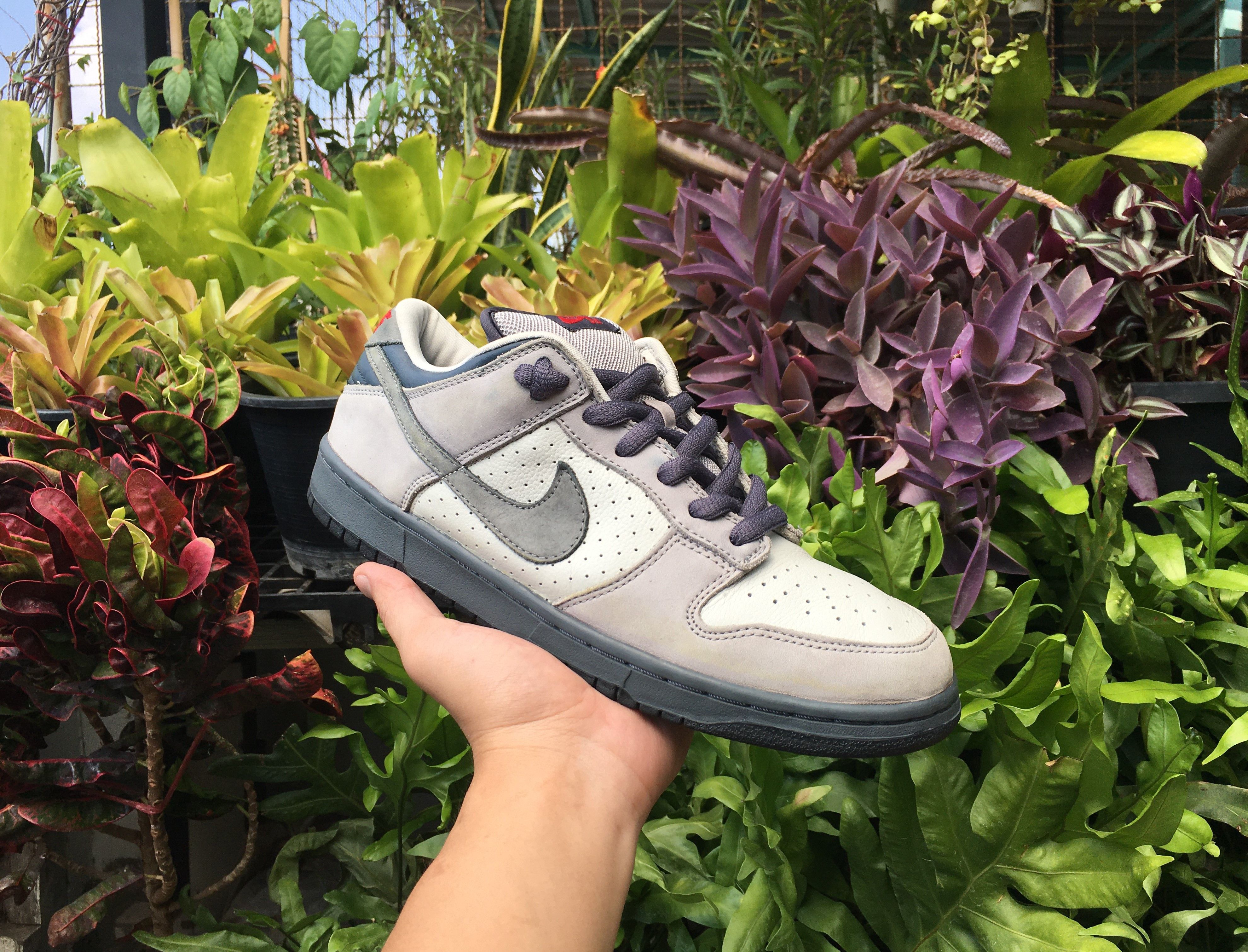 dunk sb band aid