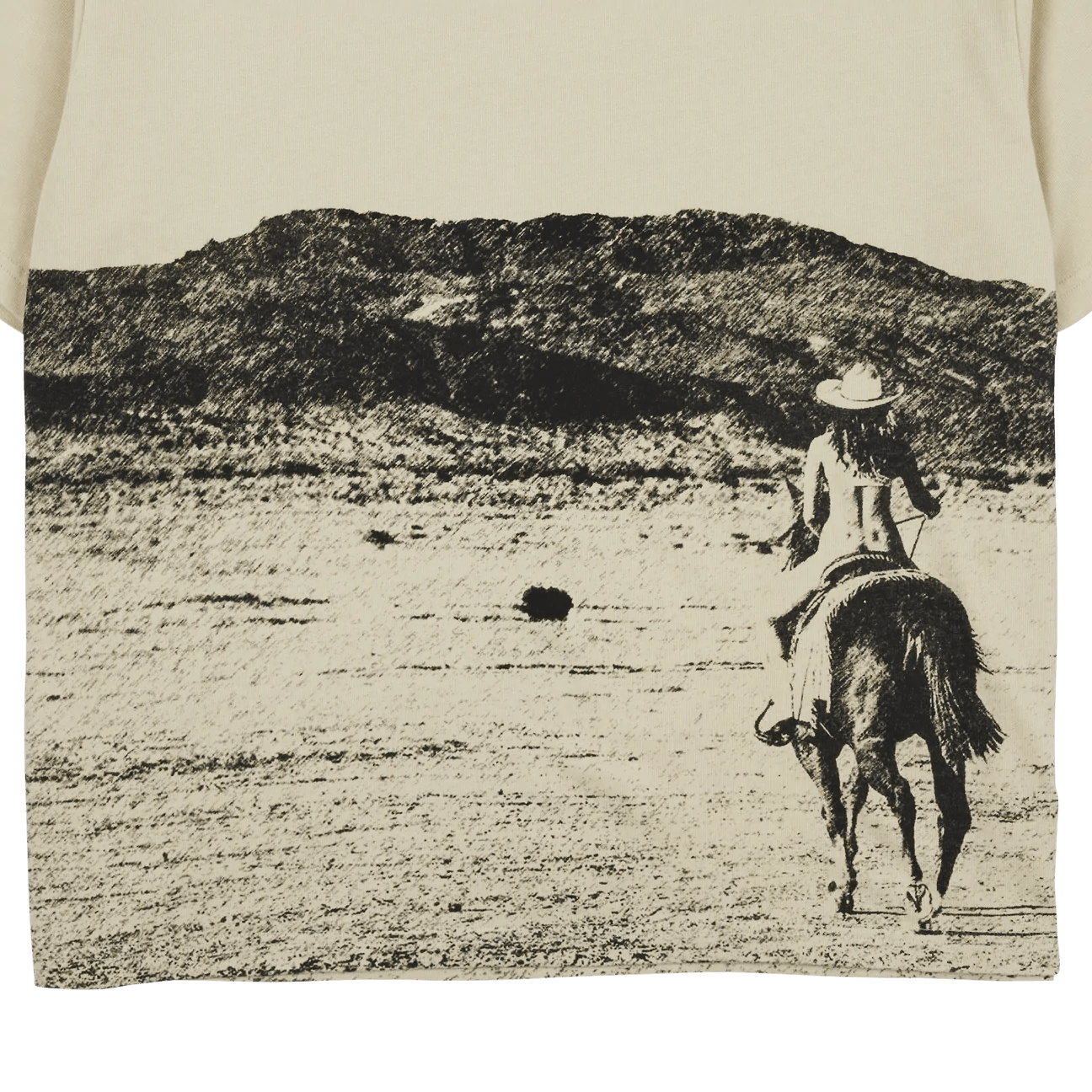 Playboy × Pleasures West Heavyweight T-Shirt Size US XL / EU 56 / 4 - 4 Thumbnail