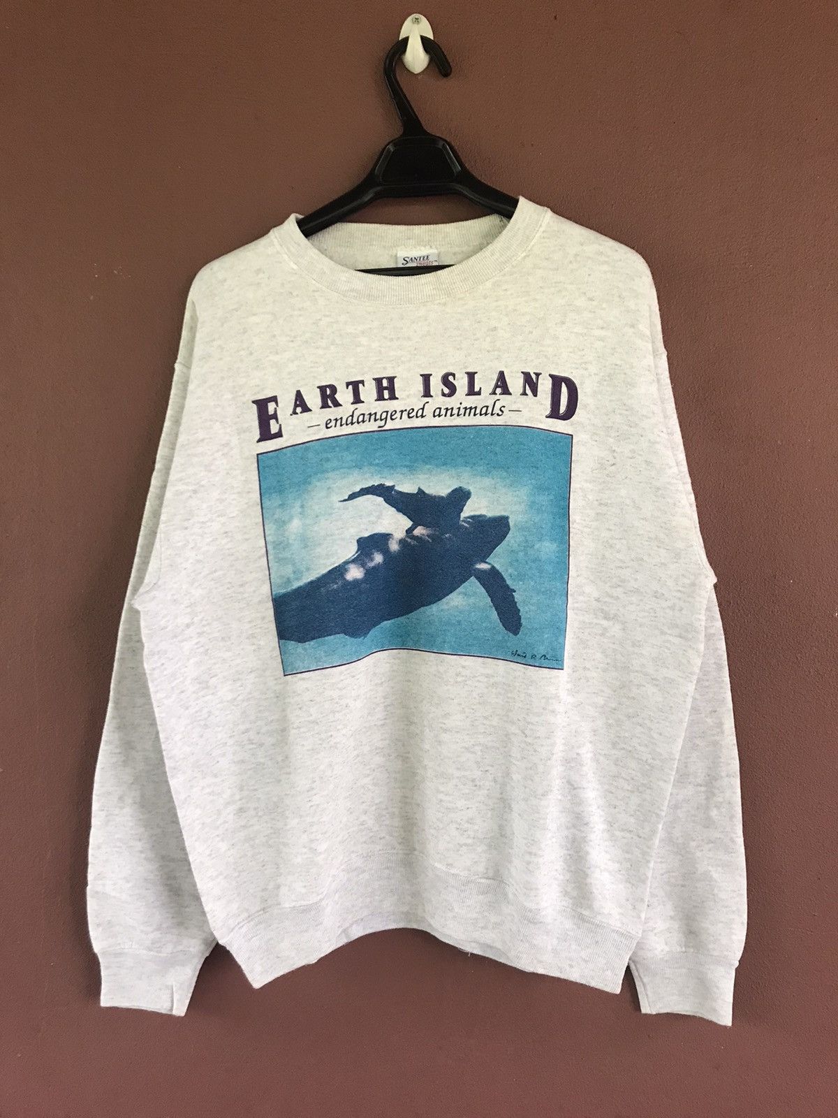Vintage Earth Island Sweatshirt size M Size US M / EU 48-50 / 2 - 1 Thumbnail