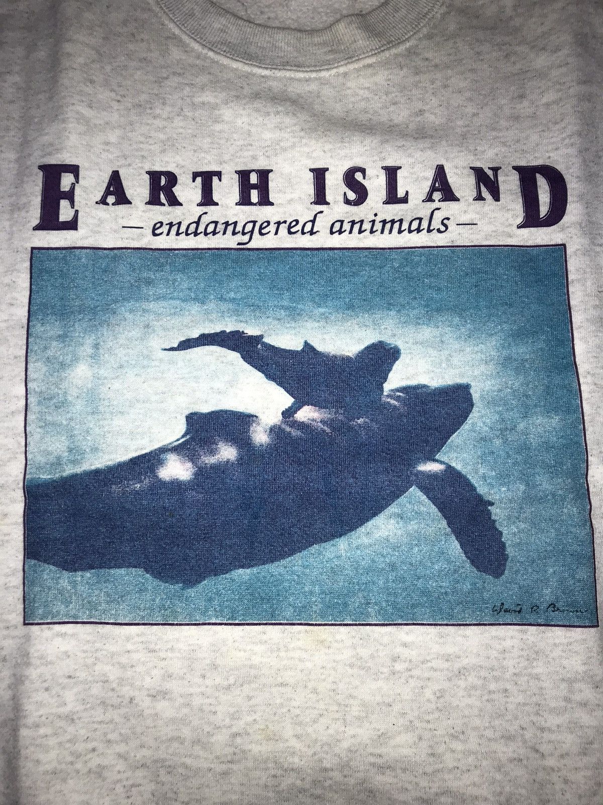 Vintage Earth Island Sweatshirt size M Size US M / EU 48-50 / 2 - 3 Thumbnail