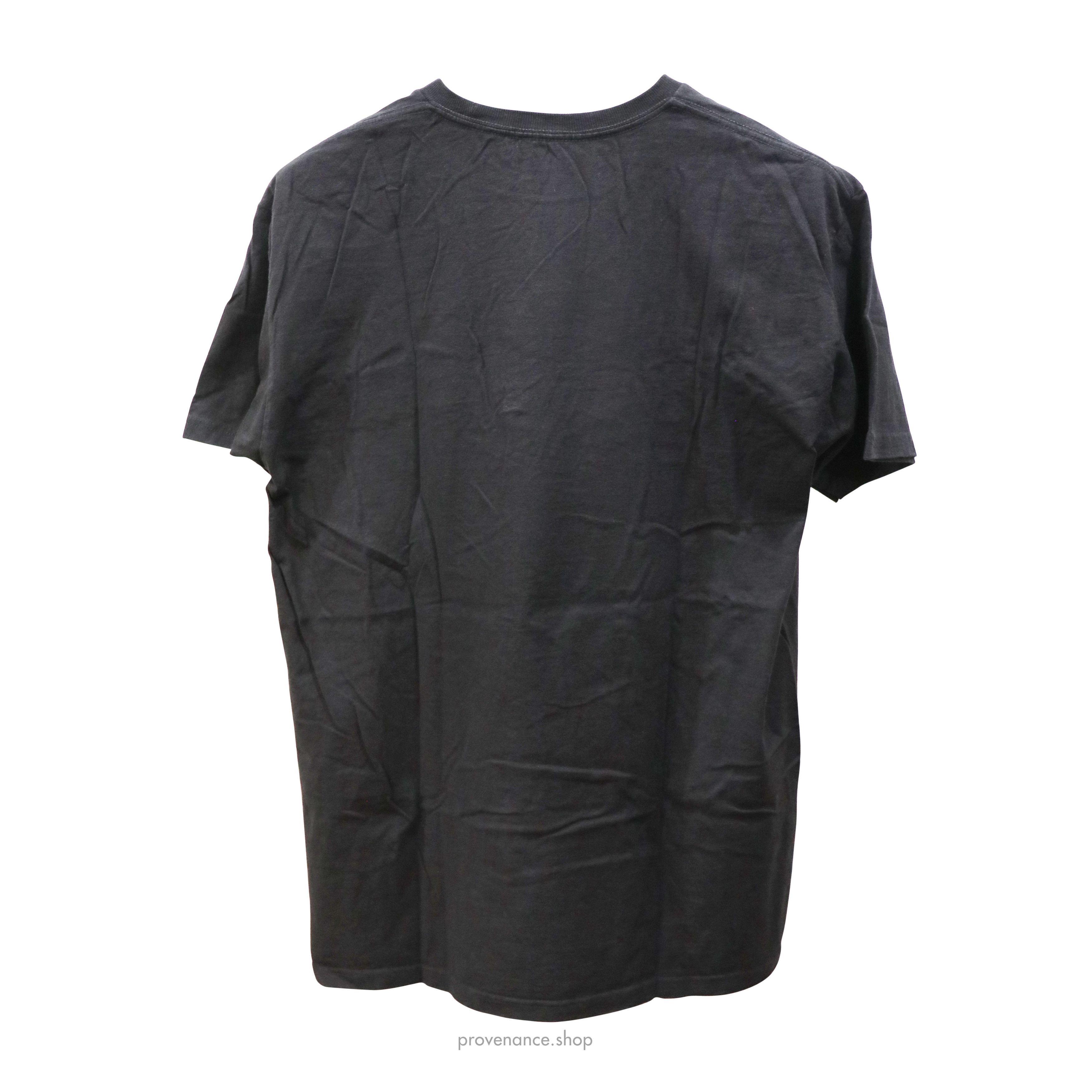 Rap Tees × Wu-Tang Clan 🔴 Wu Tang Clan 36 Chambers Vintage T-Shirt Size US L / EU 52-54 / 3 - 2 Thumbnail