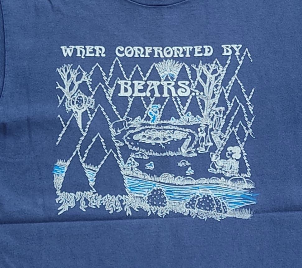 Band Tees × Grateful Dead × Vintage vintage tee band B16 Grateful Dead Size US S / EU 44-46 / 1 - 4 Thumbnail