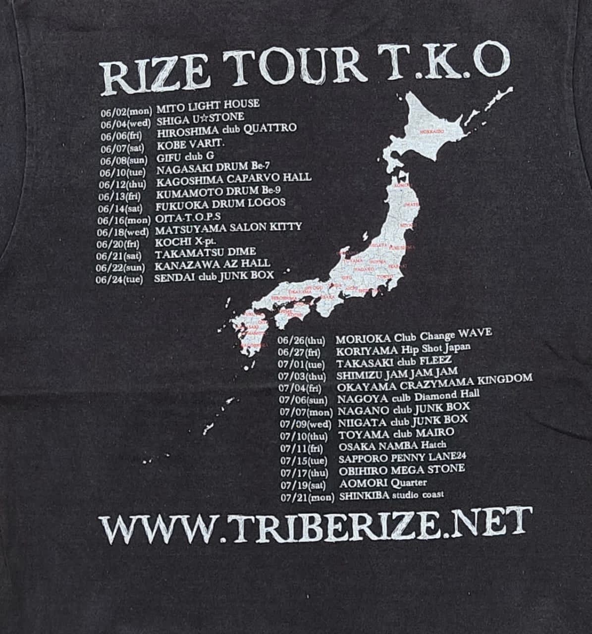 Band Tees × Vintage vintage tee band B12 RIZE TOUR Size US M / EU 48-50 / 2 - 4 Thumbnail