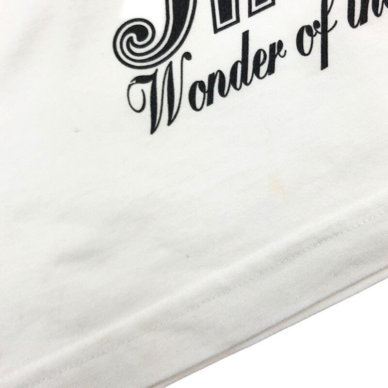 Louis Vuitton × Virgil Abloh Louis Vuitton Holy Mountain Tee by Virgil Abloh Size US L / EU 52-54 / 3 - 6 Thumbnail