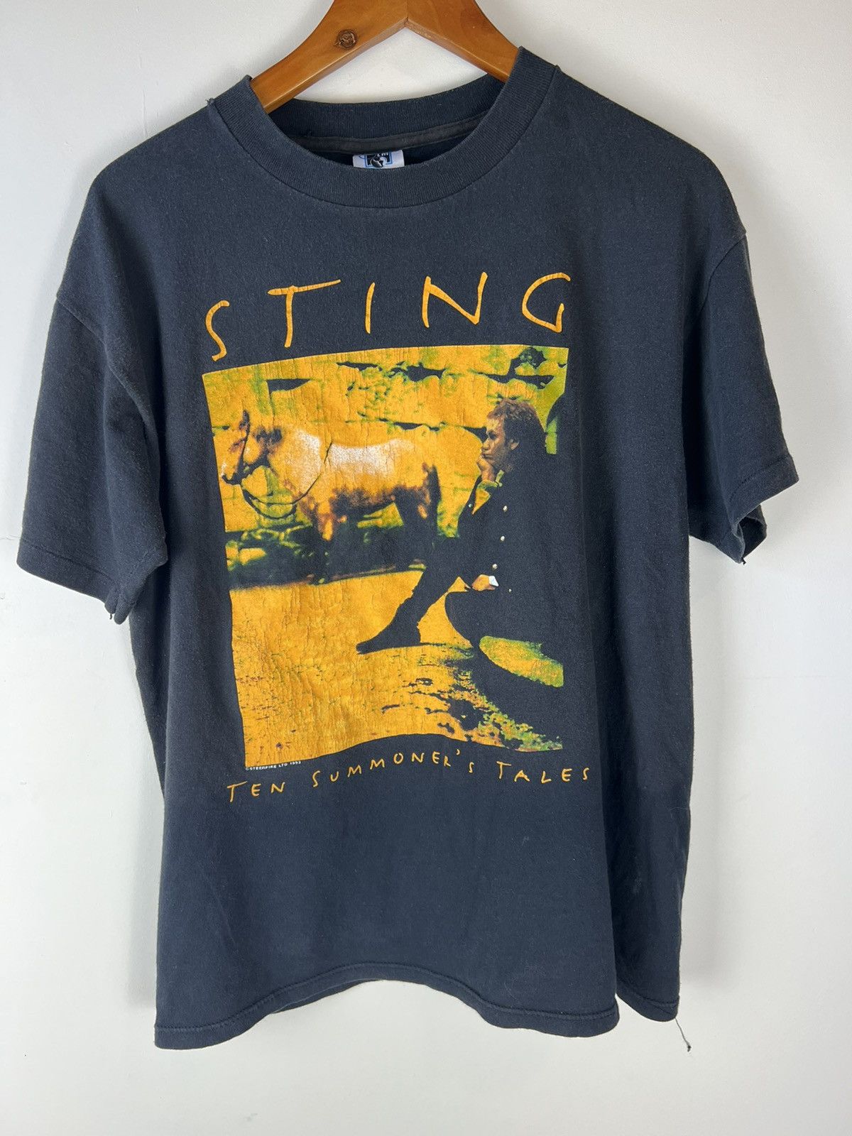 Band Tees Vintage 1993 Sting The Summoner’s Tale tee Size US L / EU 52-54 / 3 - 1 Thumbnail