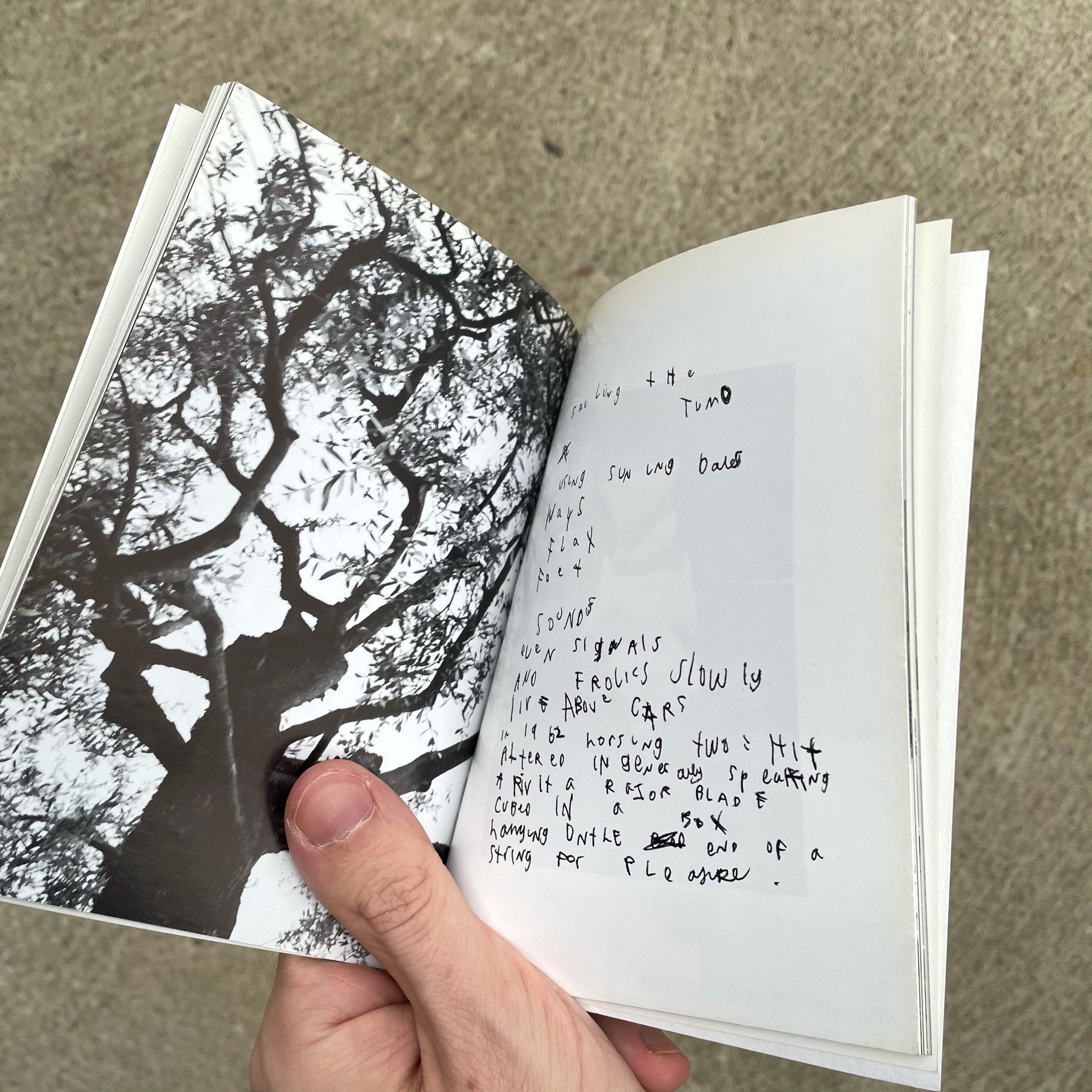 Other Mark Borthwick Are Plants People RARE Book Size ONE SIZE - 2 Thumbnail