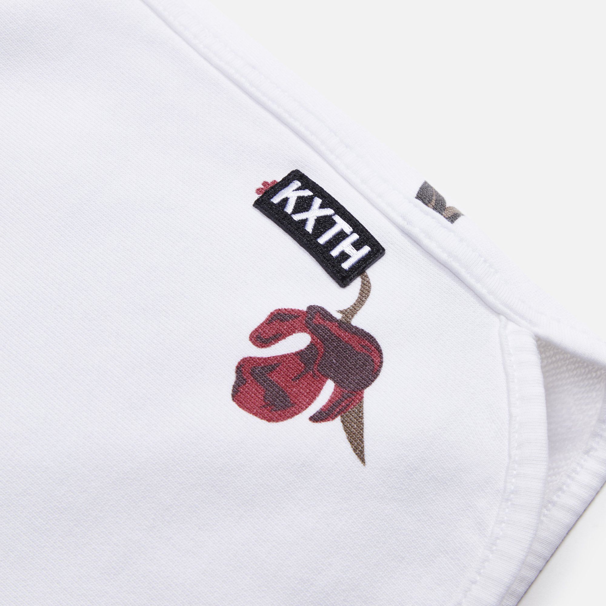 Kith 10th Anniversory Summer Floral Jordan Short Size US 32 / EU 48 - 2 Thumbnail