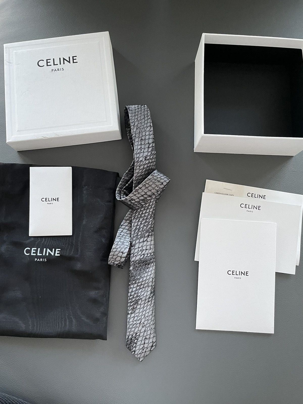 Celine × Hedi Slimane HEDI Runway Limited Edition Python Print Silk Tie Brand NEW Size ONE SIZE - 9 Thumbnail
