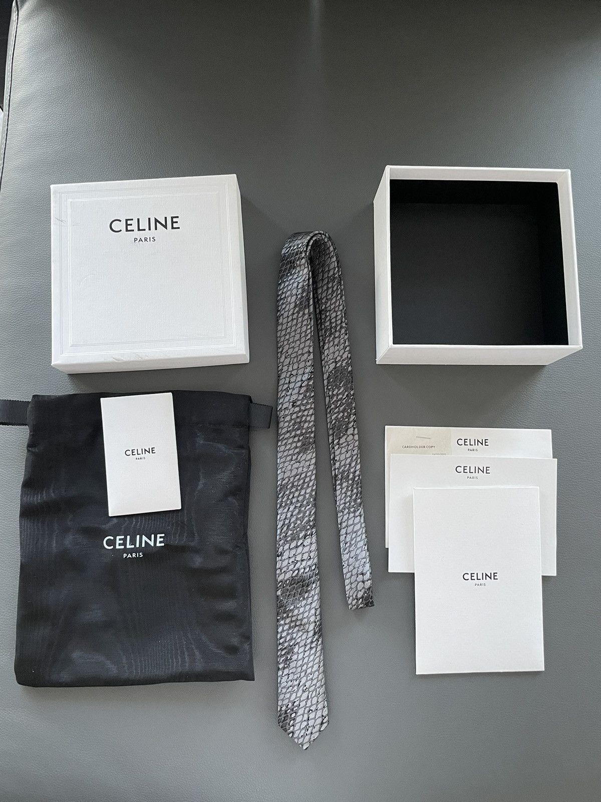 Celine × Hedi Slimane HEDI Runway Limited Edition Python Print Silk Tie Brand NEW Size ONE SIZE - 6 Thumbnail