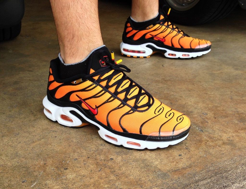 Nike Air Max Plus Tn Plus Tiger 2014 React 90 Zoom 95 Dunk 180 Size US 11 / EU 44 - 1 Thumbnail