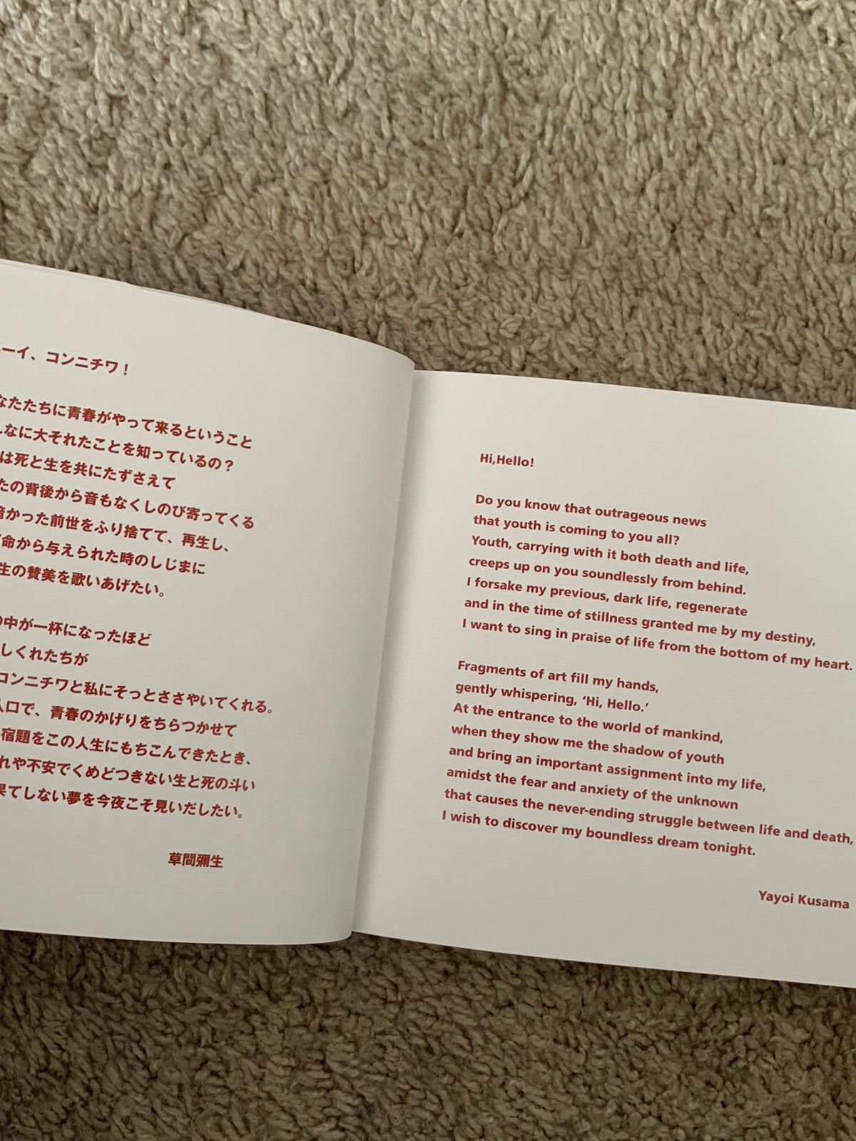 Yayoi Kusama Yayoi kusama art book Hi Konnichiwa paper back Size ONE SIZE - 5 Thumbnail