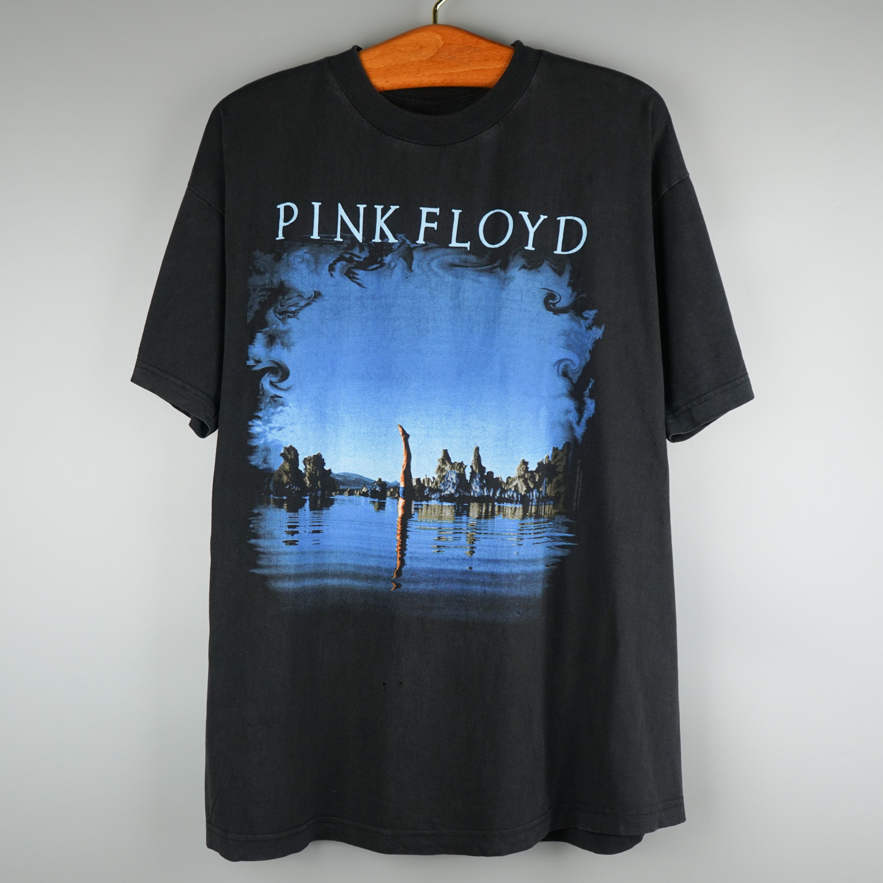 image of Band Tees x Pink Floyd 1994 Pink Floyd Wish You Were Here T-Shirt in Black, Men's (Size XL)