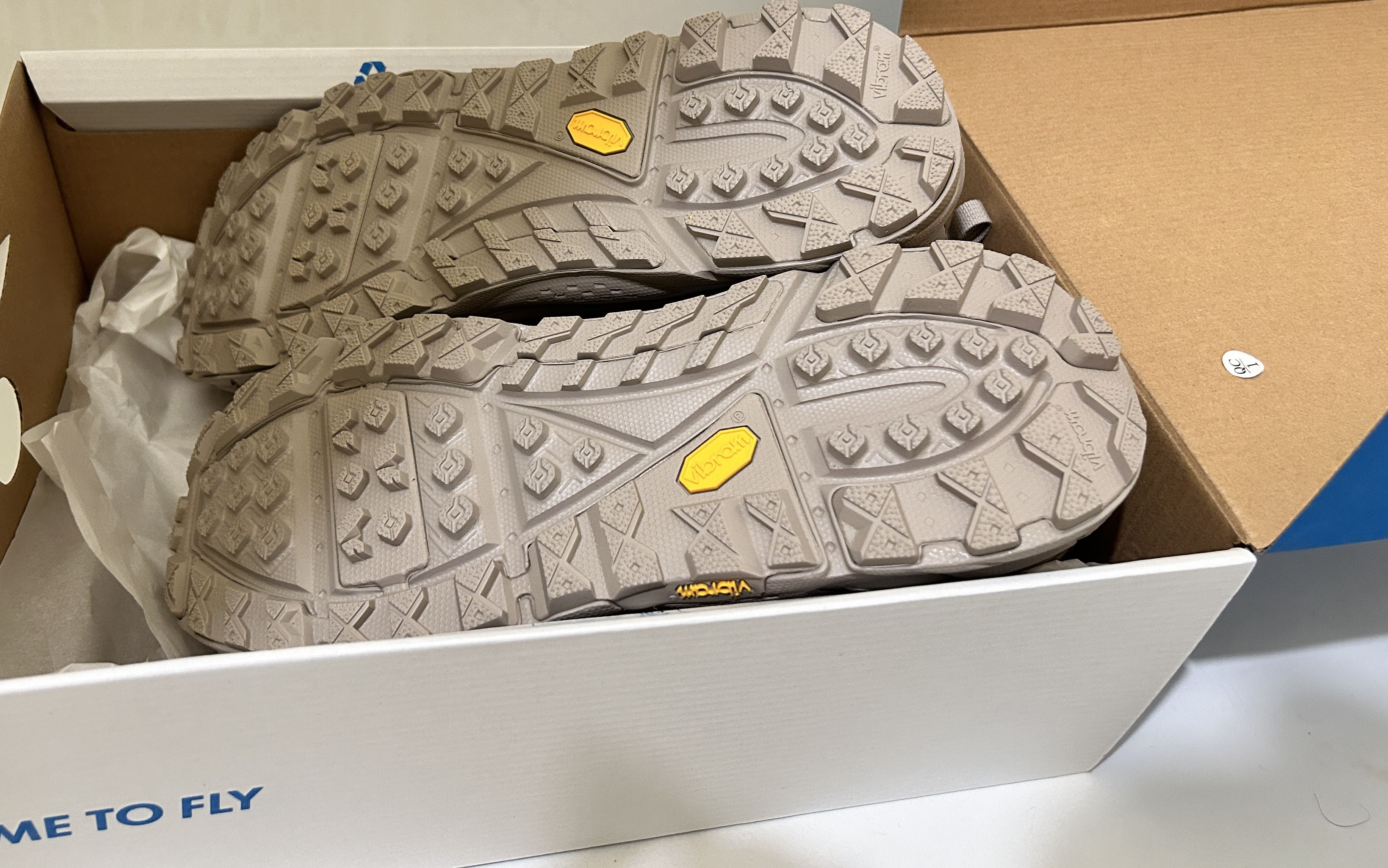 Hoka One One Tor Ultra Lo Simply Taupe 2022 Gore-tex