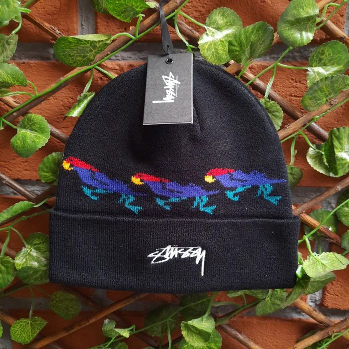 Stussy parrot beanie online