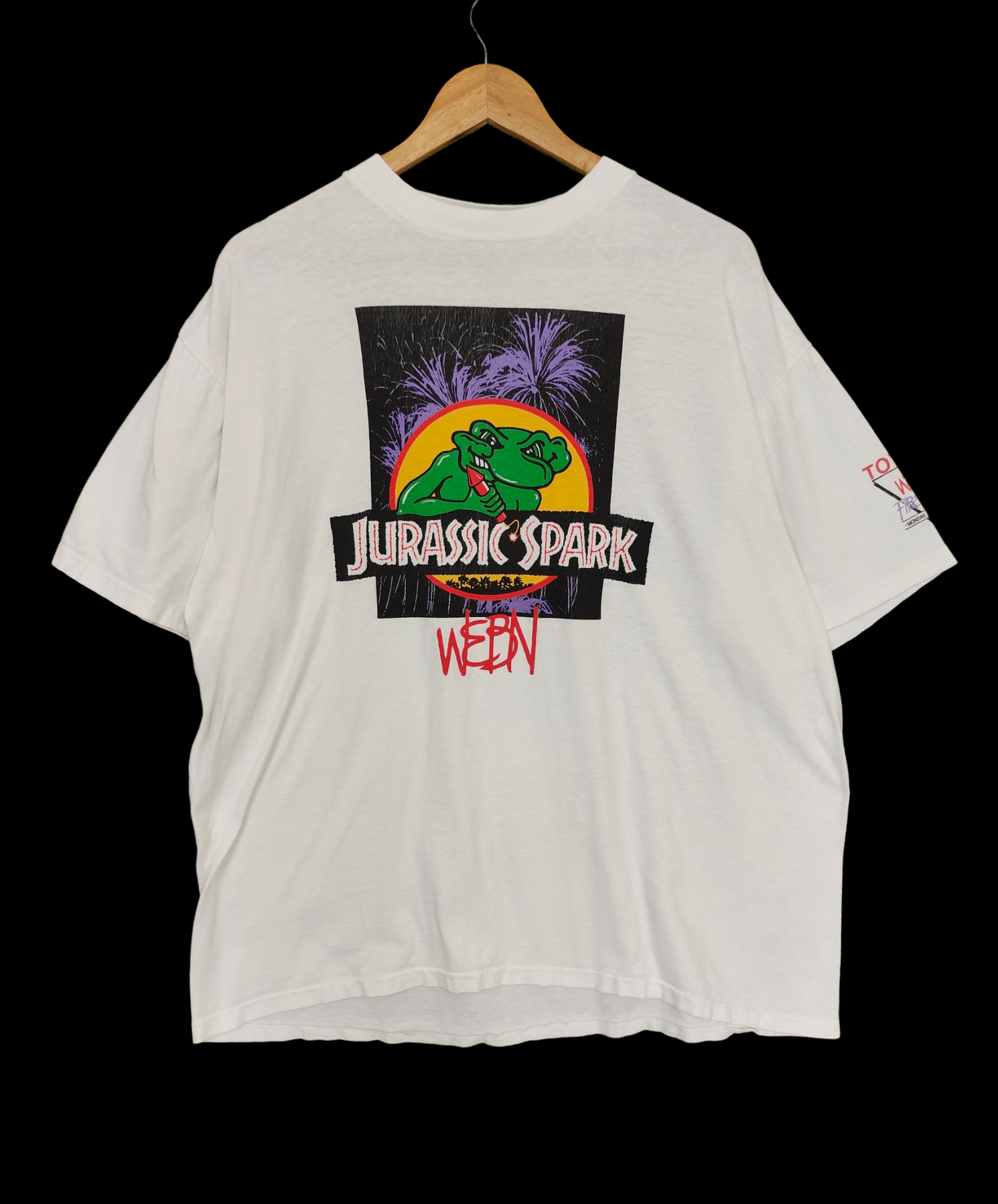 Vintage 90’s Hanes Jurassic Park Visitor Center 2024 Graphic Tee