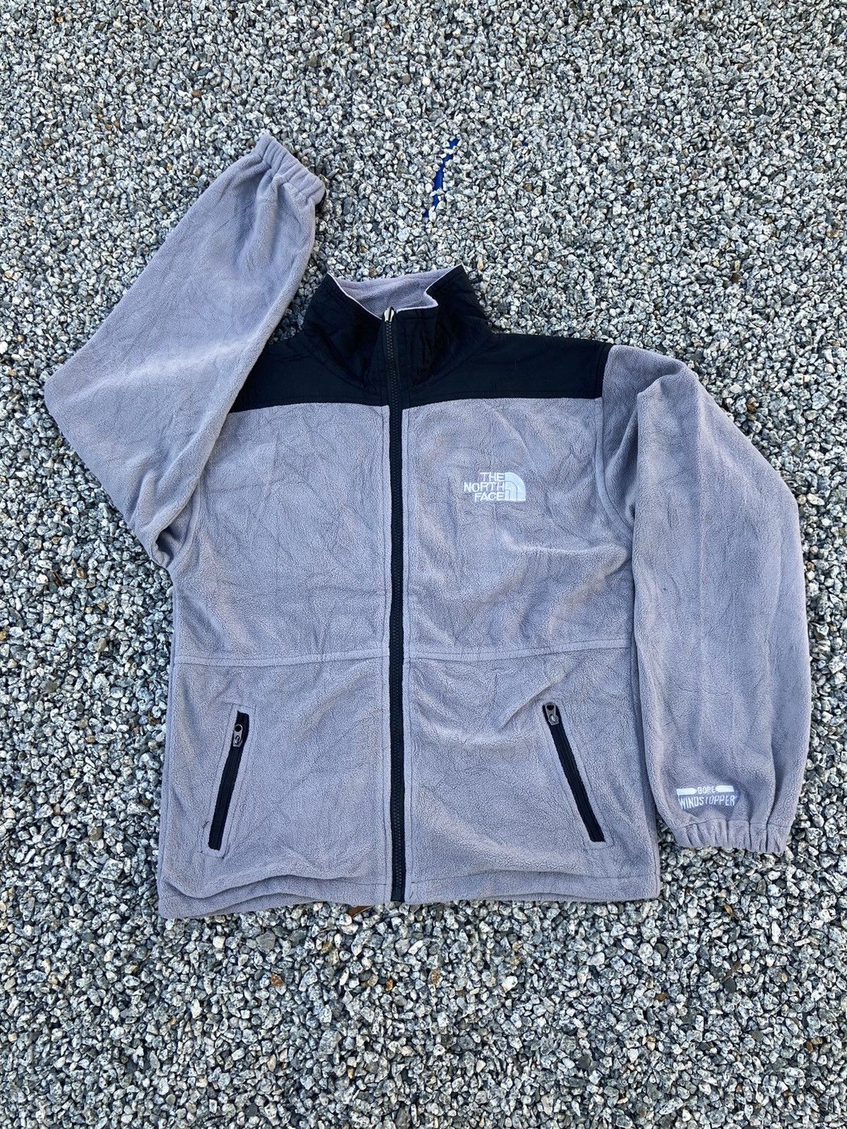 image of Goretex x The North Face Summit Series Fleece Jacket in Grey, Men's (Size Small)