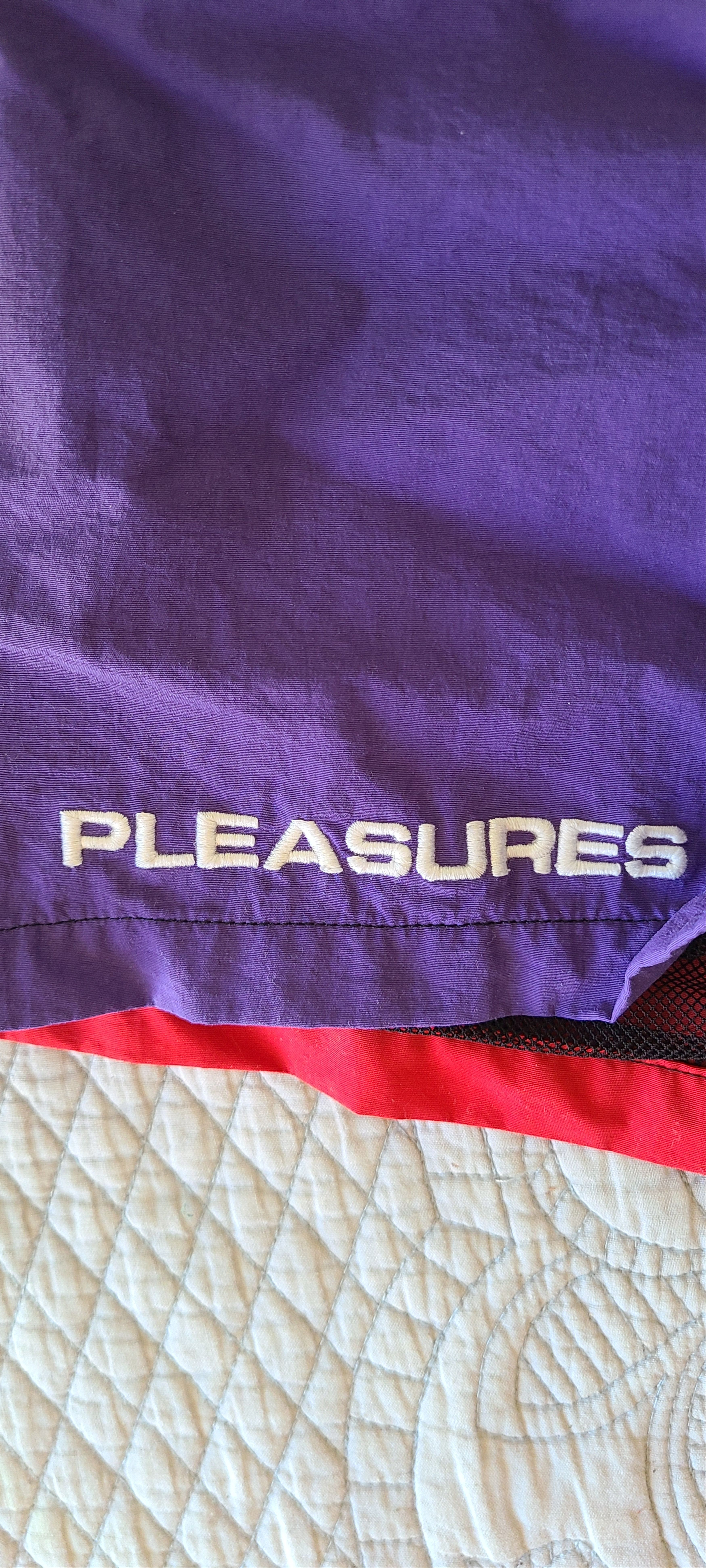 Pleasures MISFIT NYLON SHORTS Size US 34 / EU 50 - 4 Thumbnail