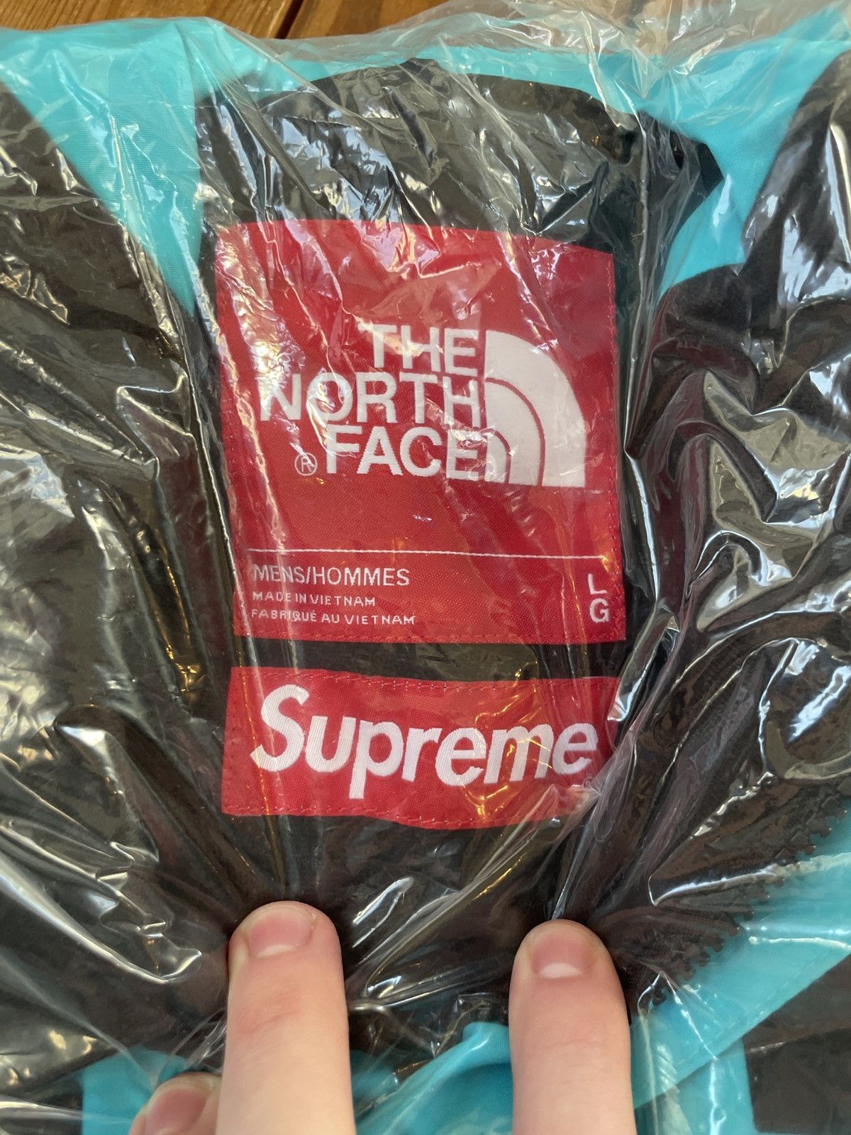 Supreme × The North Face Supreme The North Face Teal Blue Arc Mountain Light Jacket Size US L / EU 52-54 / 3 - 5 Thumbnail