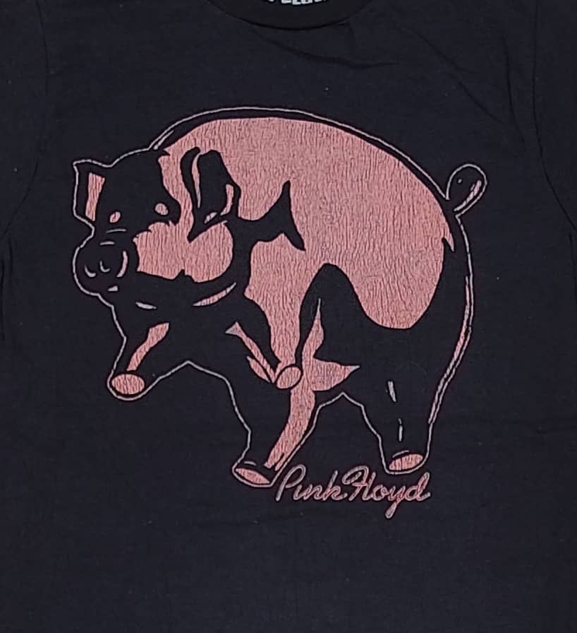 Pink Floyd Pink Flyod ( A 11 ) Size US S / EU 44-46 / 1 - 2 Thumbnail