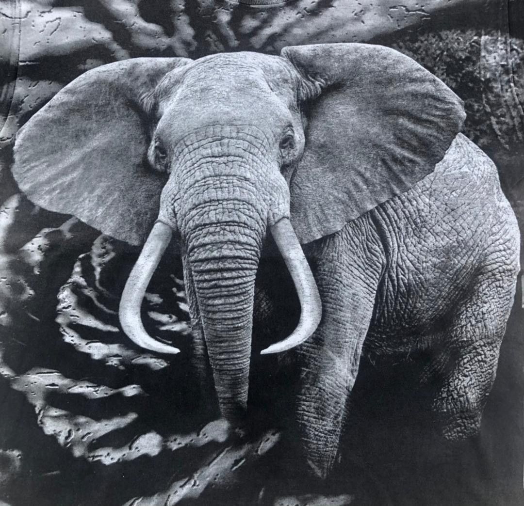 Vintage Habitat overprint an elephant