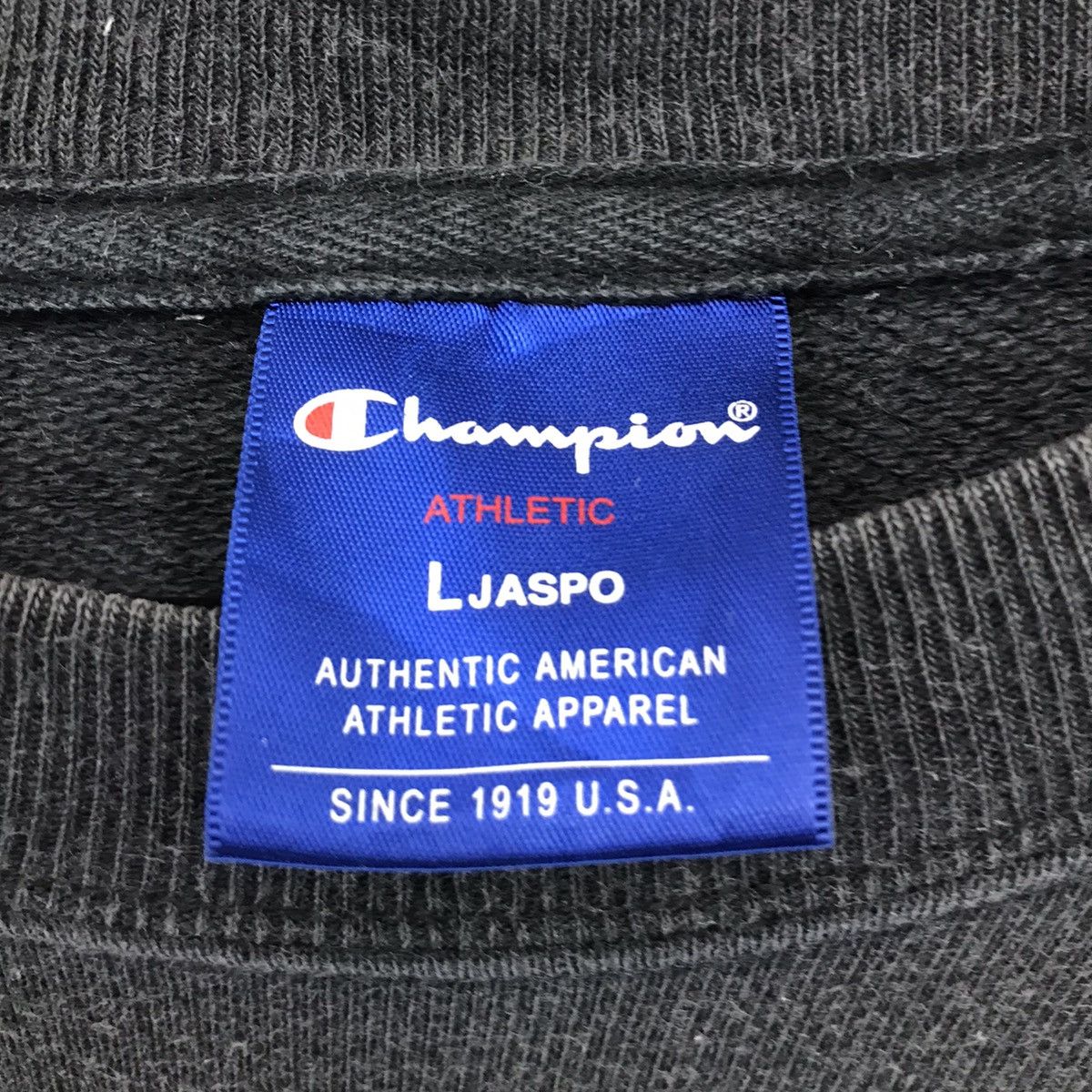 Champion Vintage Champion Sweatshirt Big Logo Rochester Size US M / EU 48-50 / 2 - 7 Thumbnail