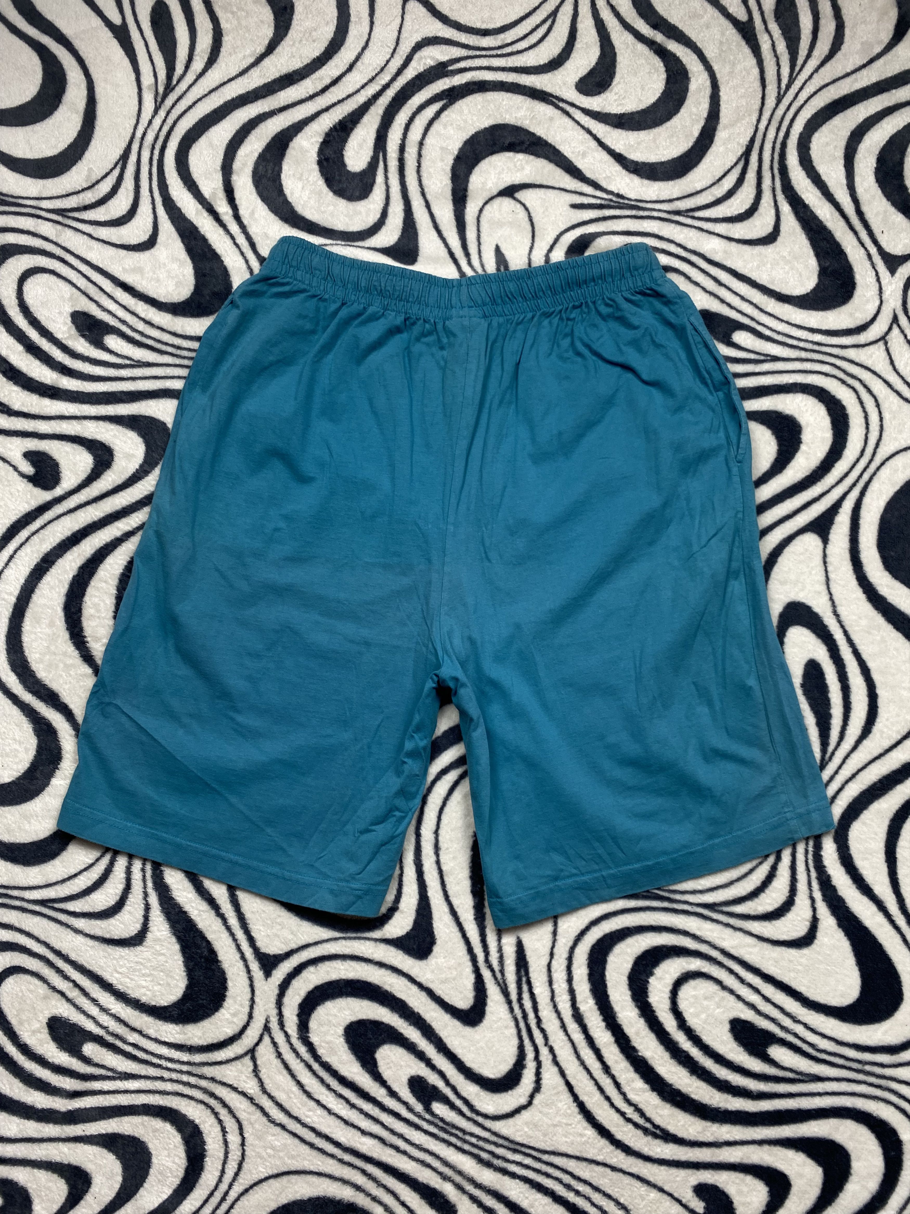 NBA × Nutmeg × Vintage Charlotte Hornets Vintage Cotton Shorts Size US 36 / EU 52 - 7 Thumbnail