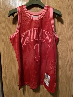 Rose Bulls Mens Jersey - Gem