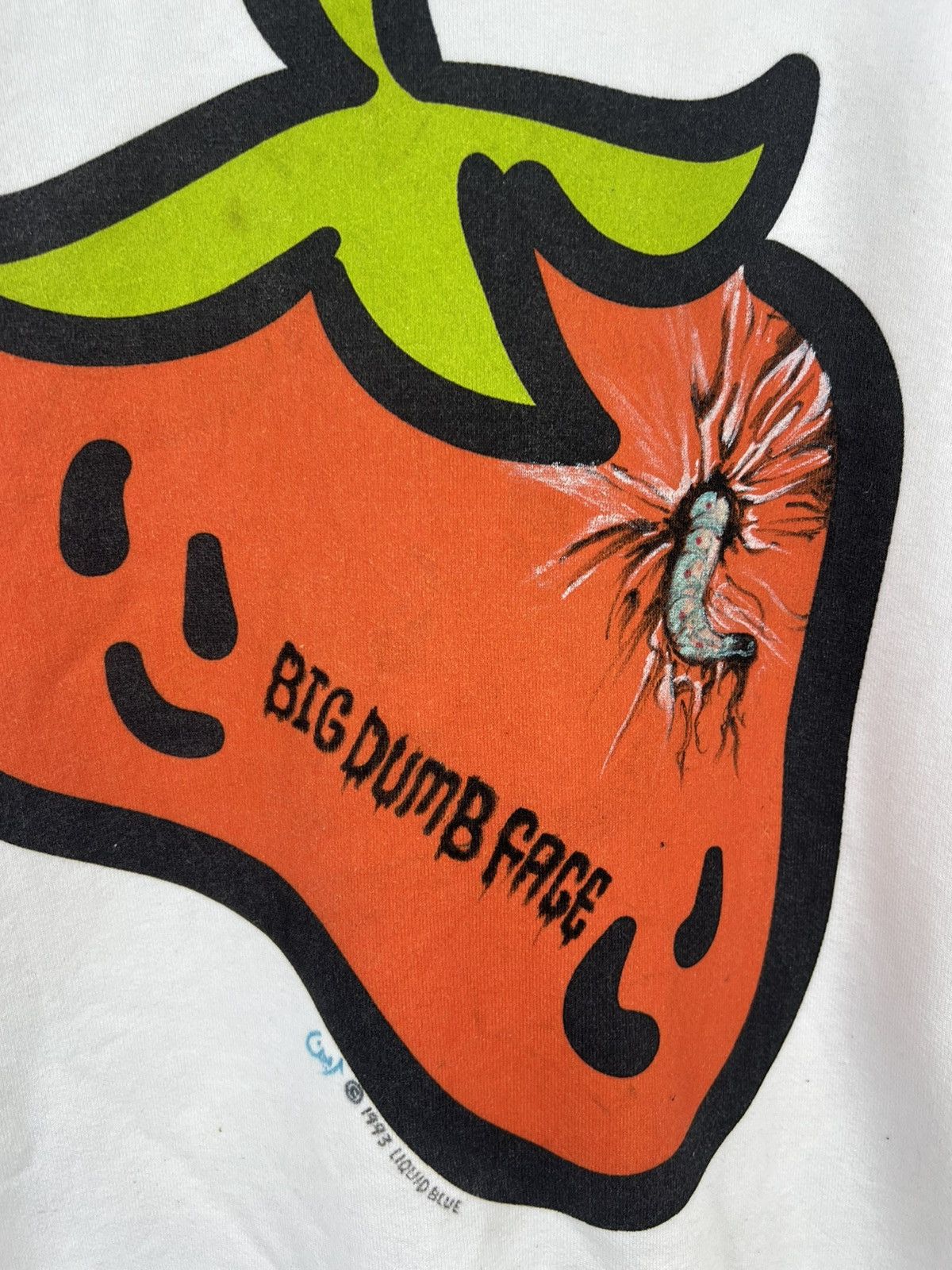 Band Tees VINTAGE 1993 BIG DUMB FACE AMERICAN METAL BAND SWEATSHIRT Size US M / EU 48-50 / 2 - 5 Thumbnail