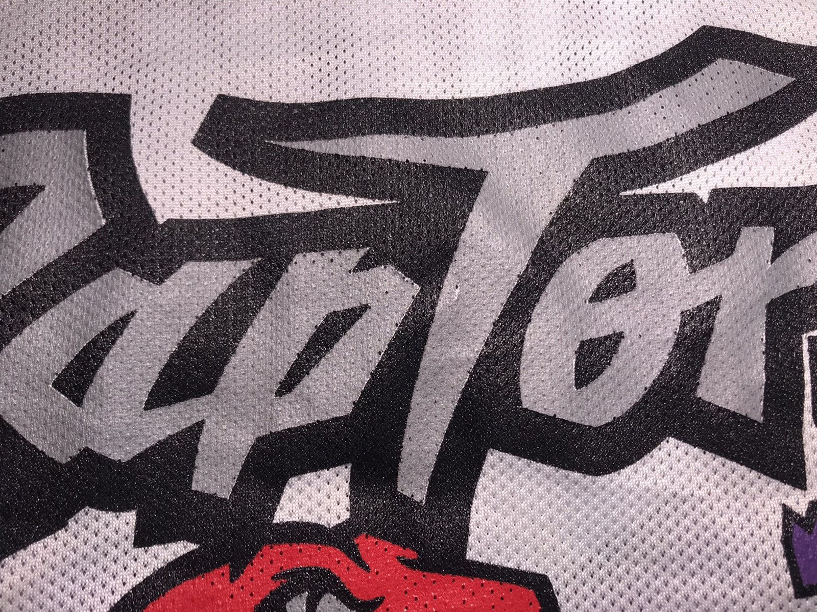 Other Vintage 90’s Champion Toronto Raptors Champion NBA Jersey Size US M / EU 48-50 / 2 - 3 Thumbnail