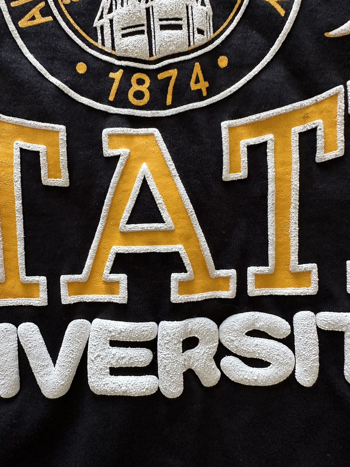 Lee × Vintage Vintage 90s HBCU 'Alabama State University' 90s Tee Size US L / EU 52-54 / 3 - 3 Thumbnail