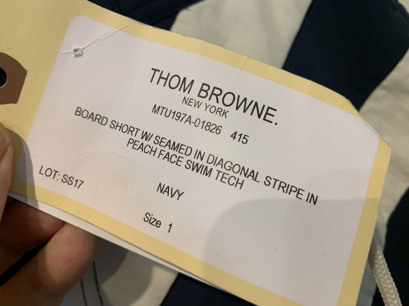 Thom Browne SS'17 Swim Shorts Diagonal Stripe Size US 29 - 3 Thumbnail