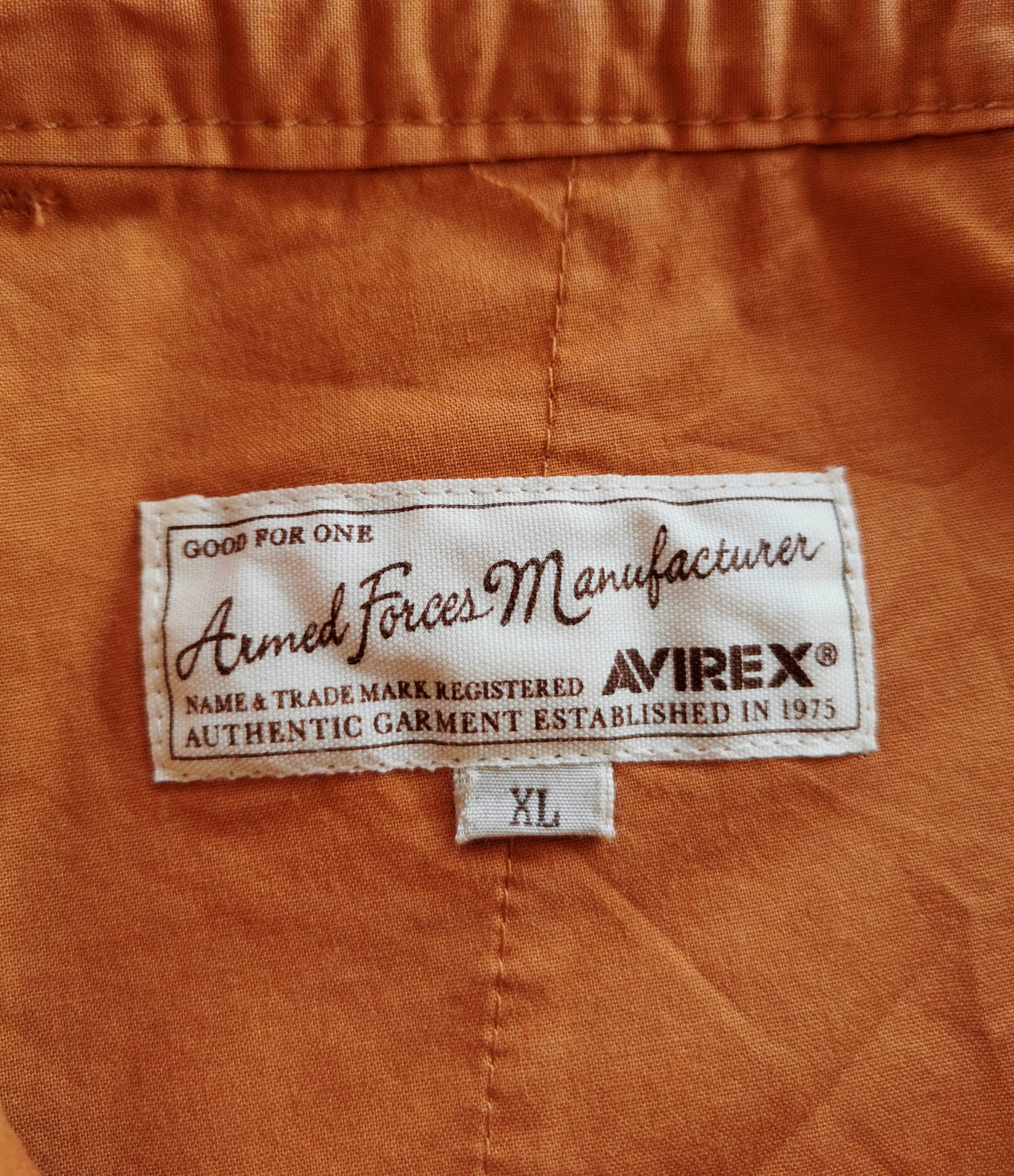 Avirex Avirex Double Knee Shorts Air Force Size US 35 - 10 Thumbnail