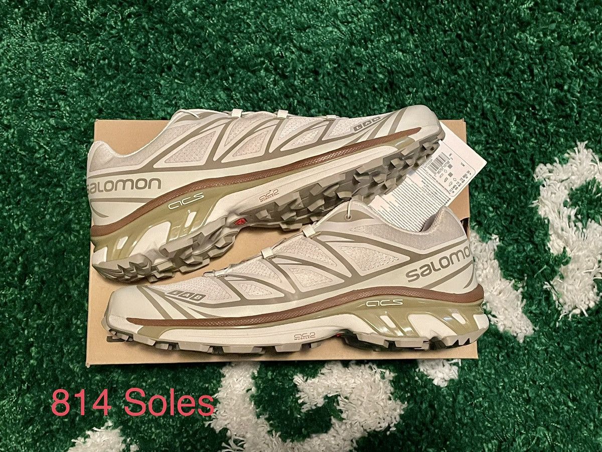 Salomon XT 6 Turtledove/Vintage Khaki/Kelp DS 12