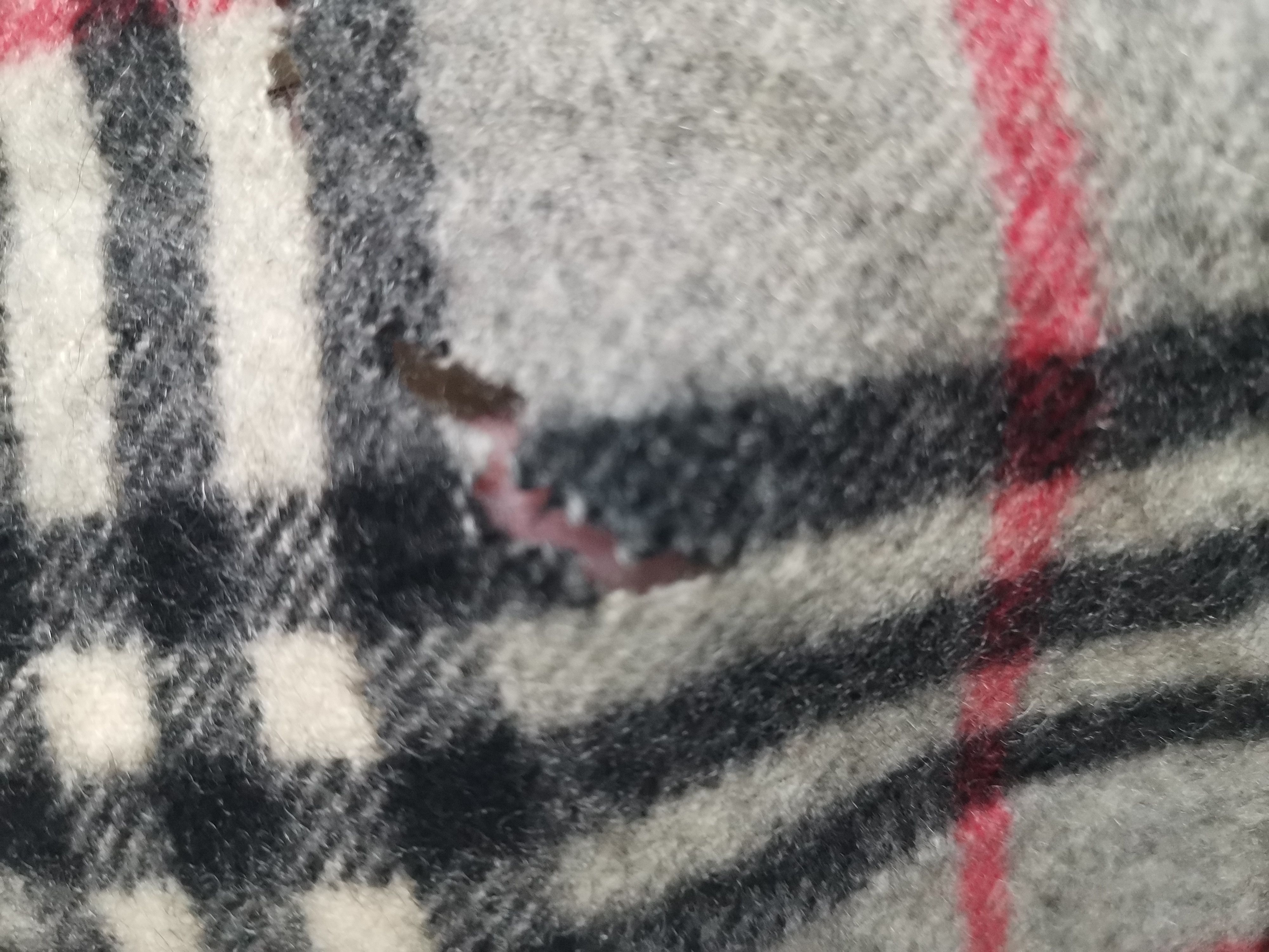 Burberry Vintage Burberrys Of London Novacheck Scarf/Mufler Size ONE SIZE - 3 Thumbnail