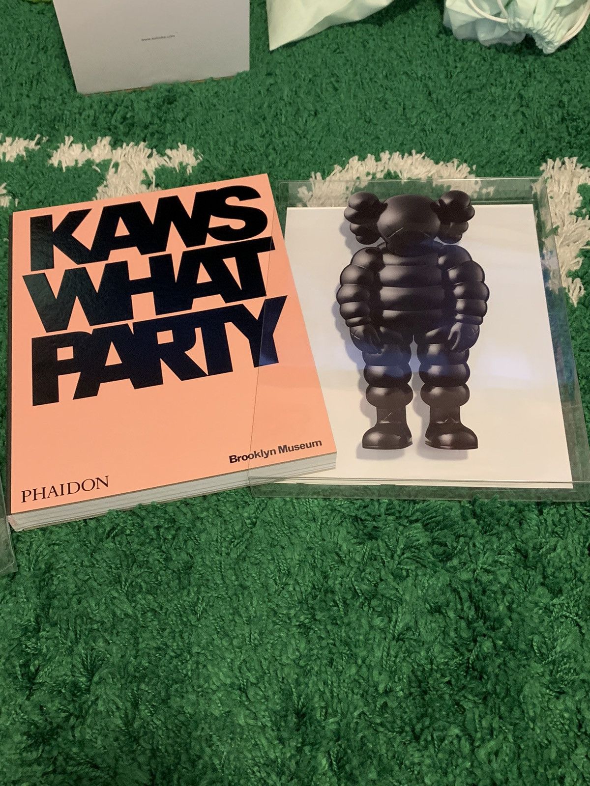 Kaws What party Brooklyn museum coffee table book hardcover | Grailed