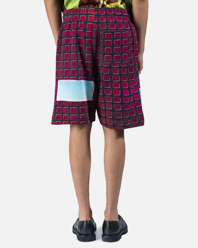Dries Van Noten BNWT SS21 DRIES VAN NOTEN x LEN LYE HABOR FUCHSIA SHORTS M Size US 32 / EU 48 - 16 Thumbnail