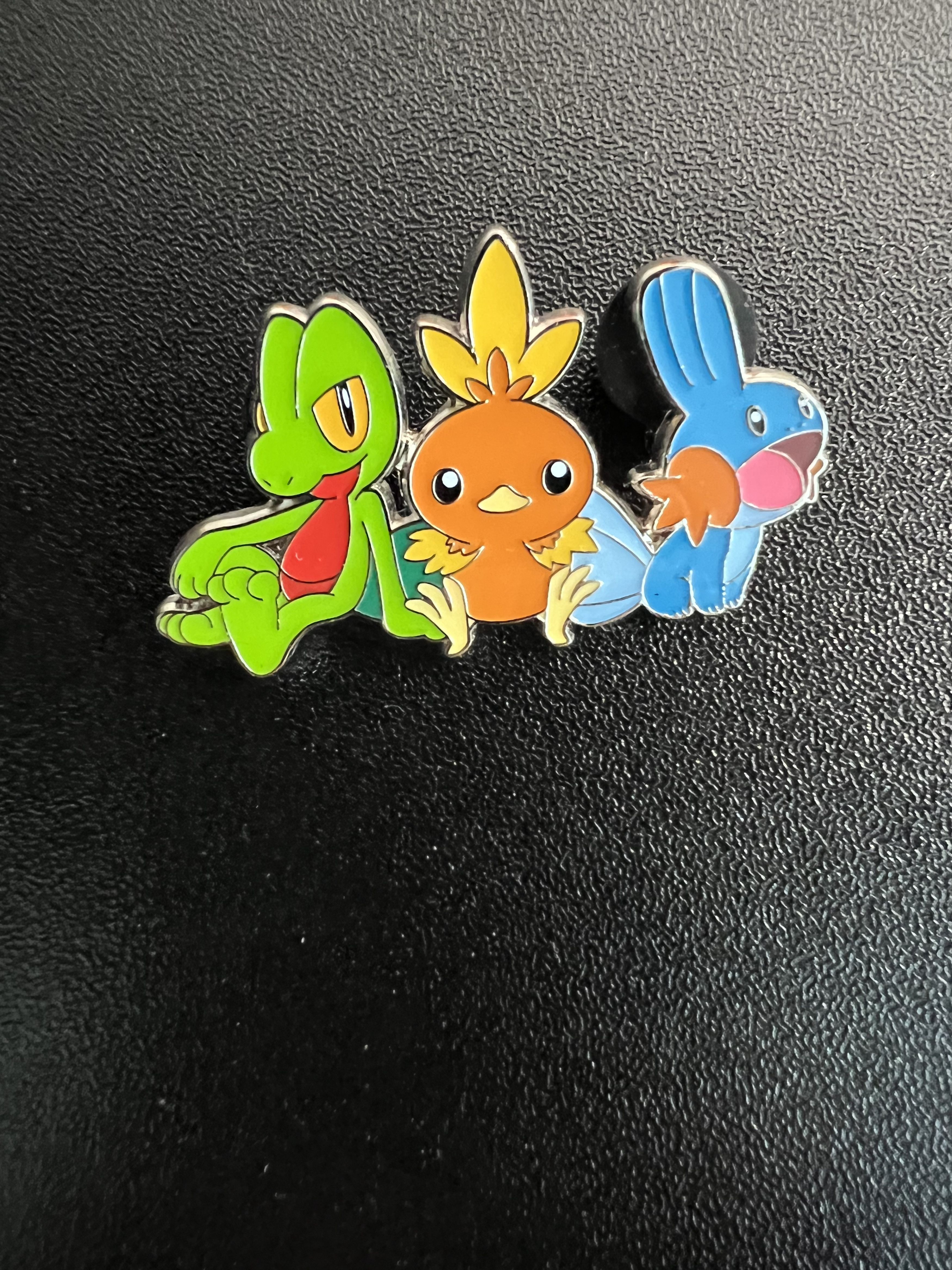 Pokemon Torchic Treecko Mudkip Enamel Pin | Grailed