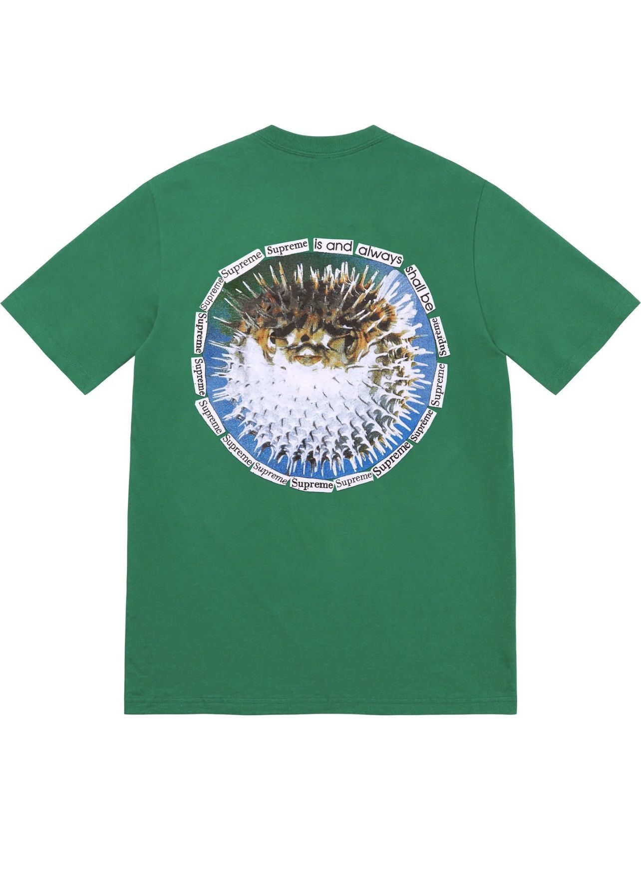 Supreme Blowfish Tee Size US L / EU 52-54 / 3 - 1 Thumbnail
