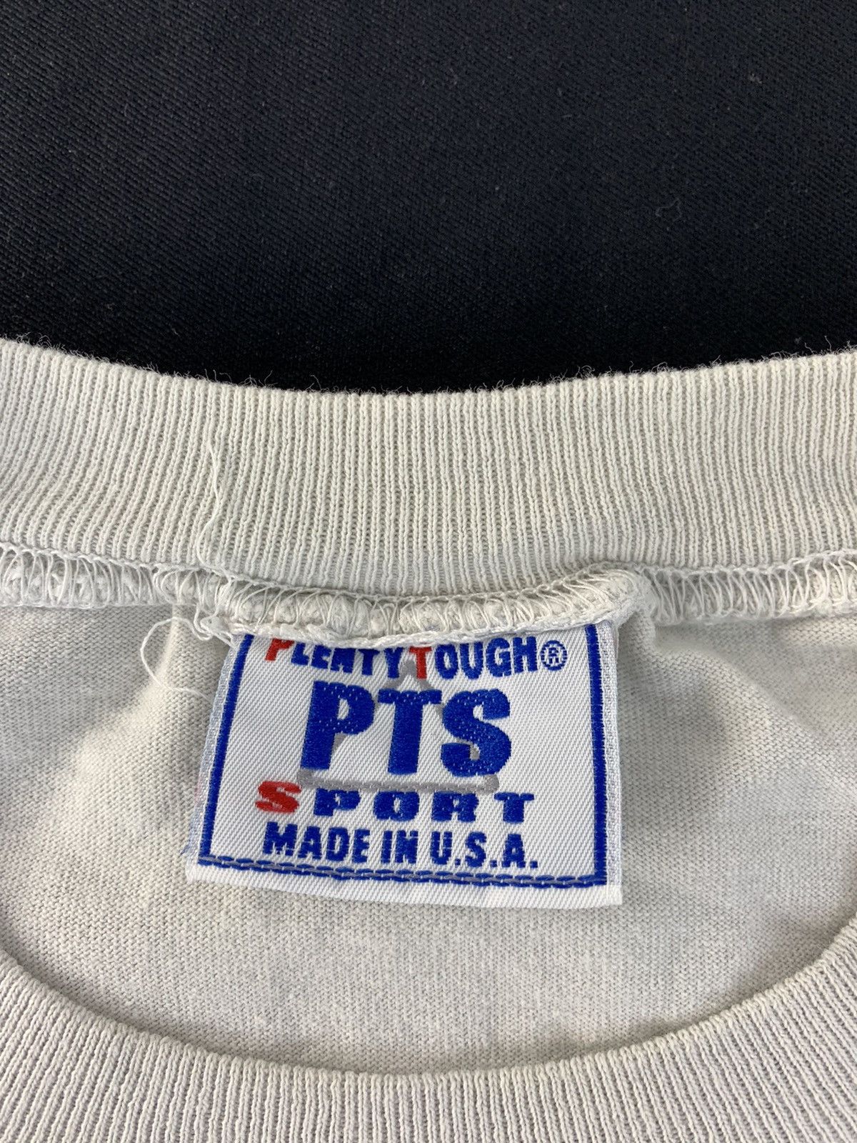 Vintage Hype 90s PTS Plenty Tough Sport Embroidery Logo Crewneck Tee Size US M / EU 48-50 / 2 - 5 Thumbnail